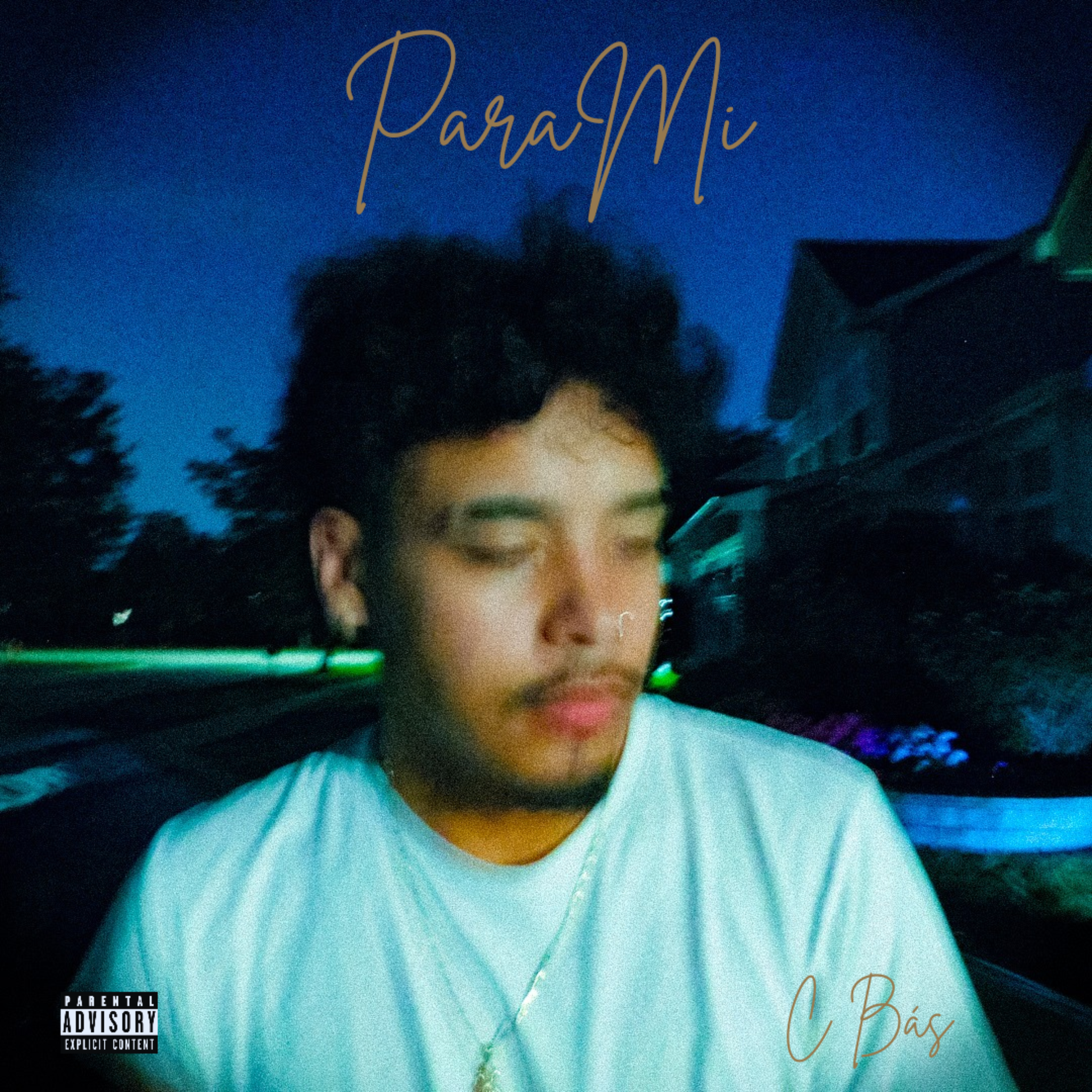 ParaMI artwork