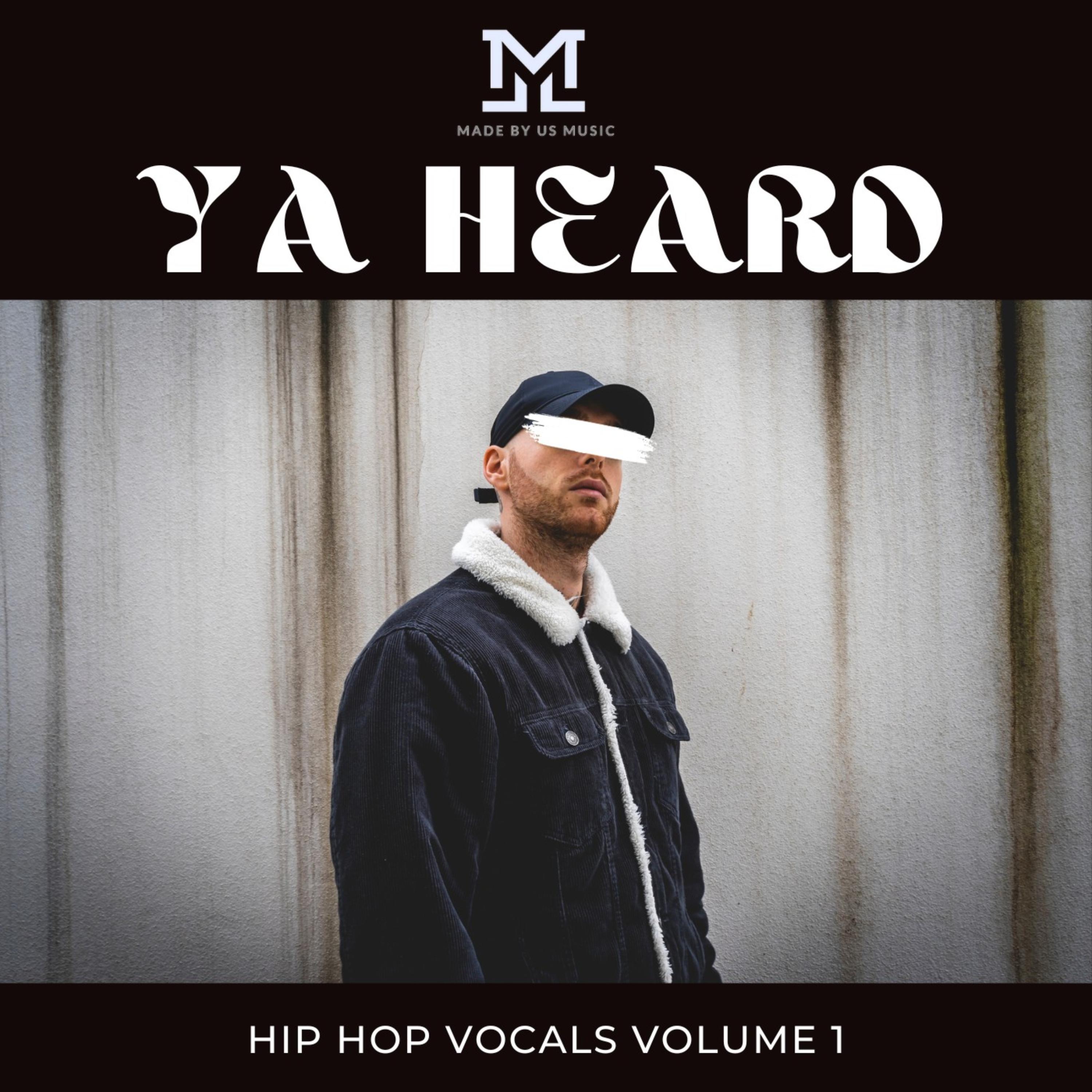 Ya Heard Hip Hop Vocals Vol 1 artwork
