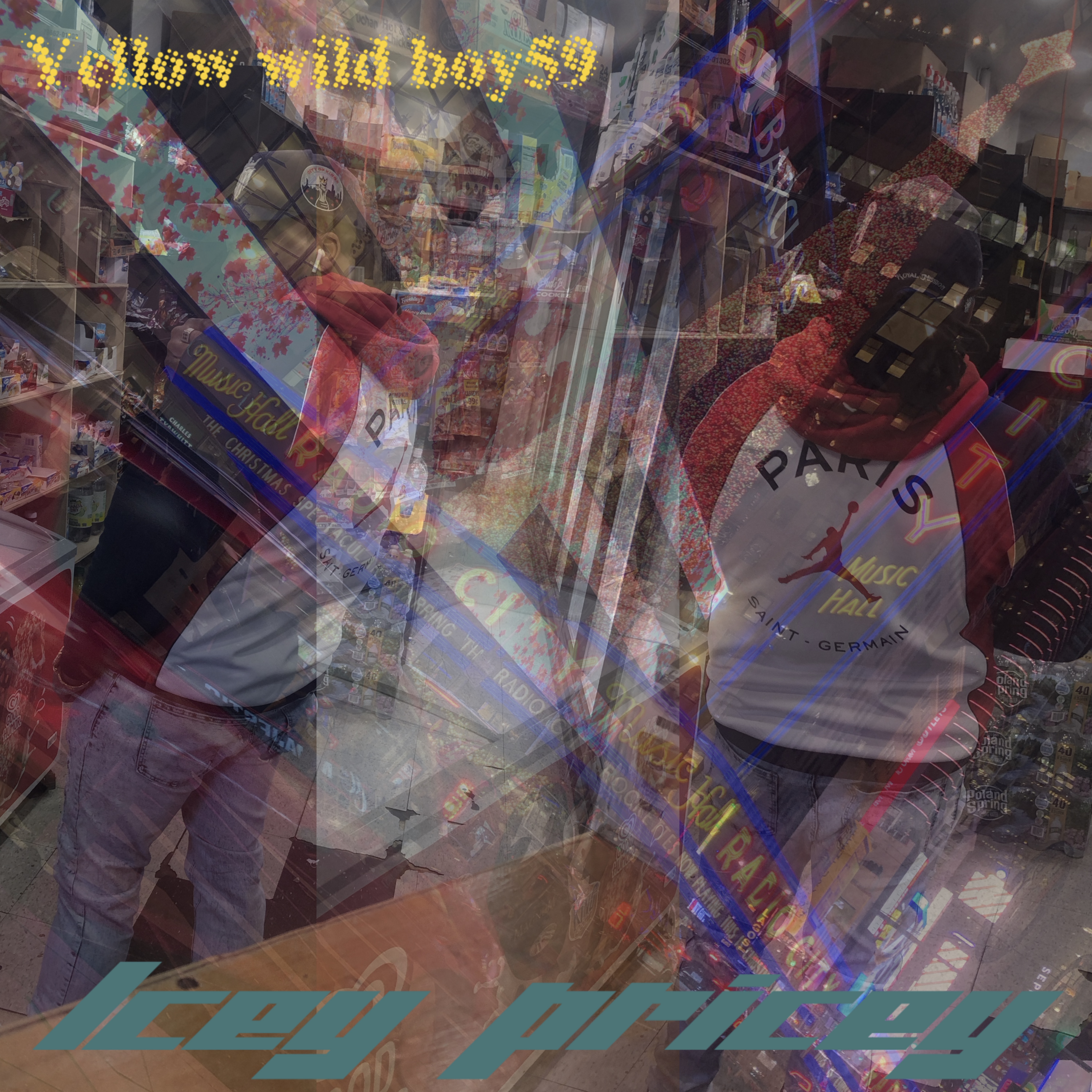 Icey Pricey artwork