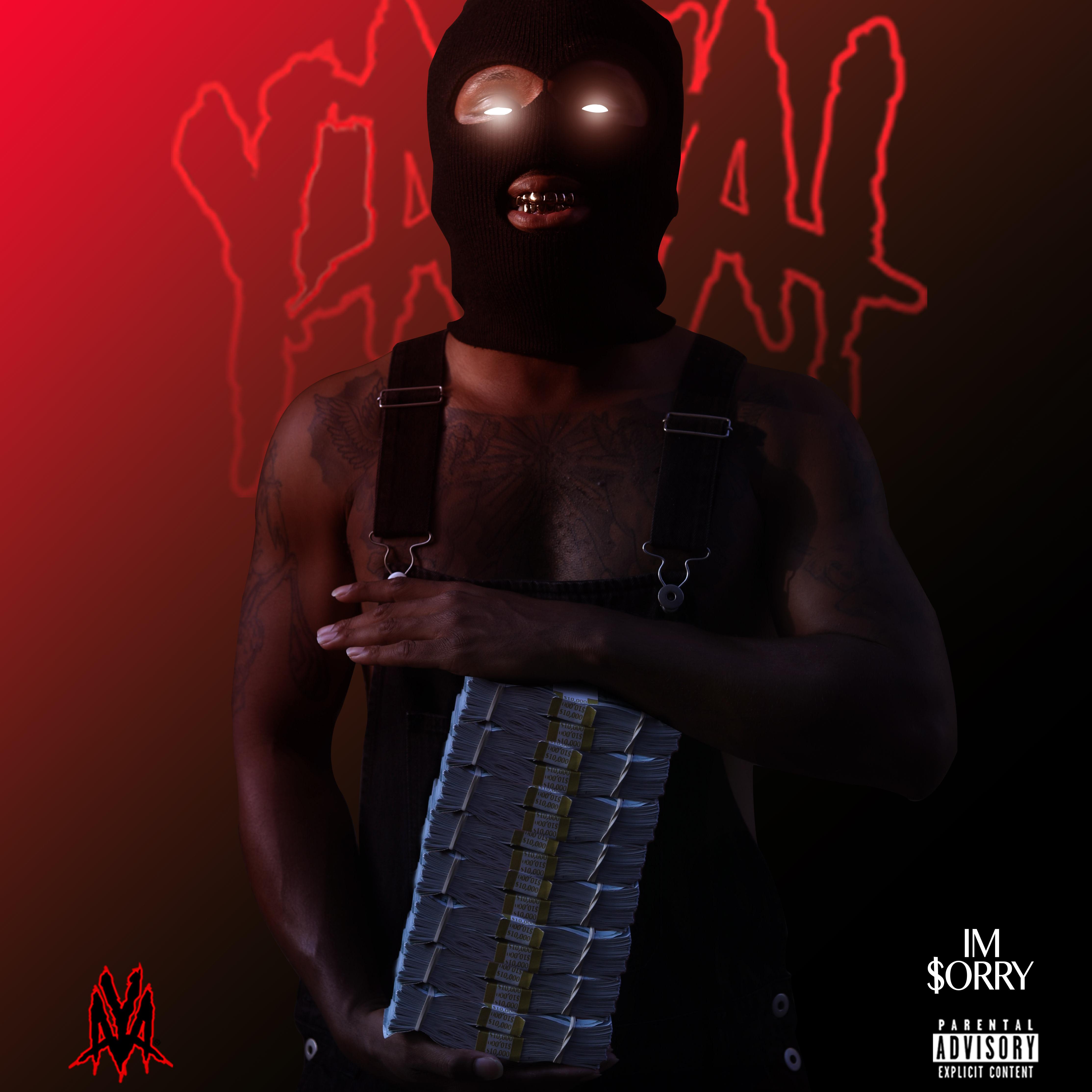 Im Sorry artwork
