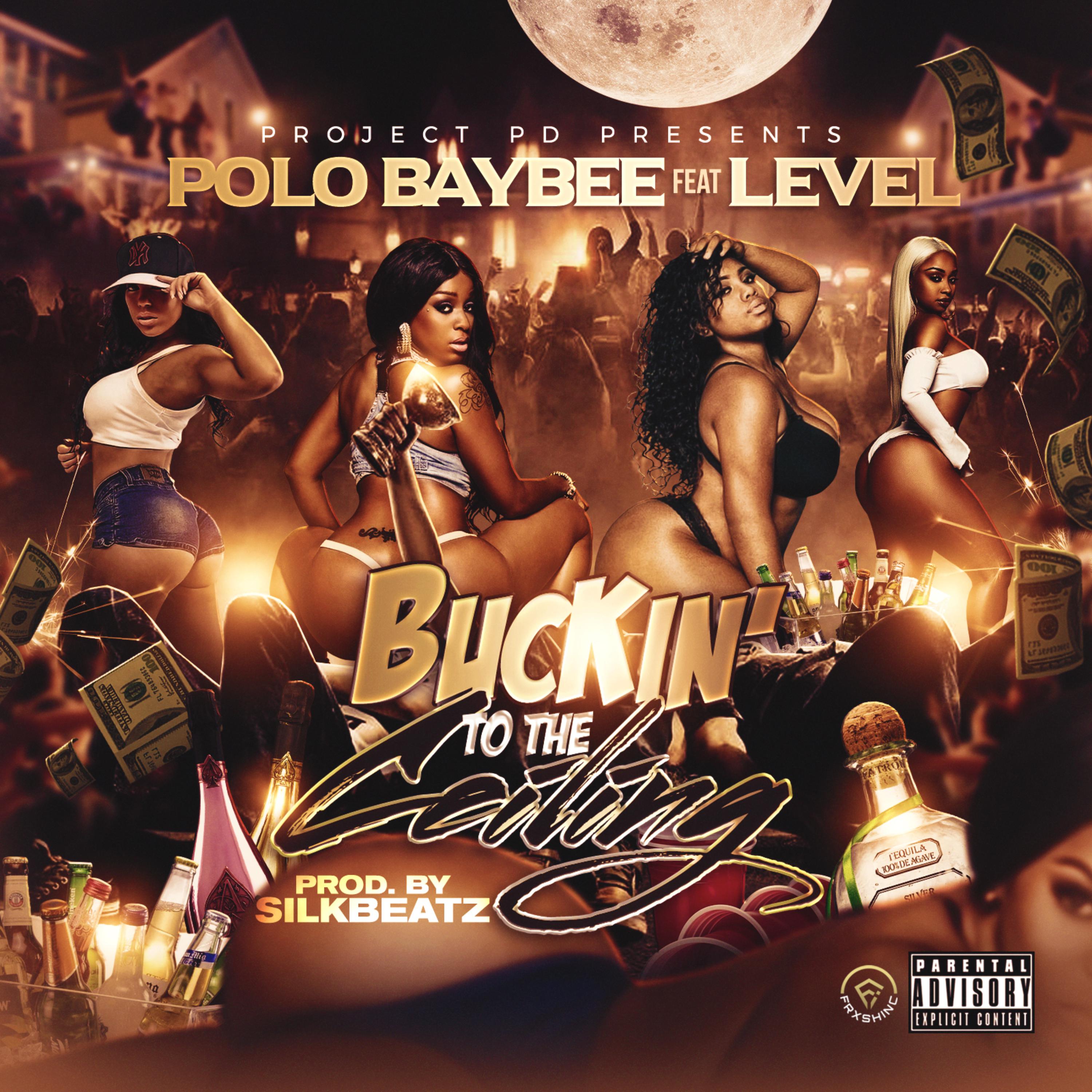 Buckin' To The Ceiling artwork