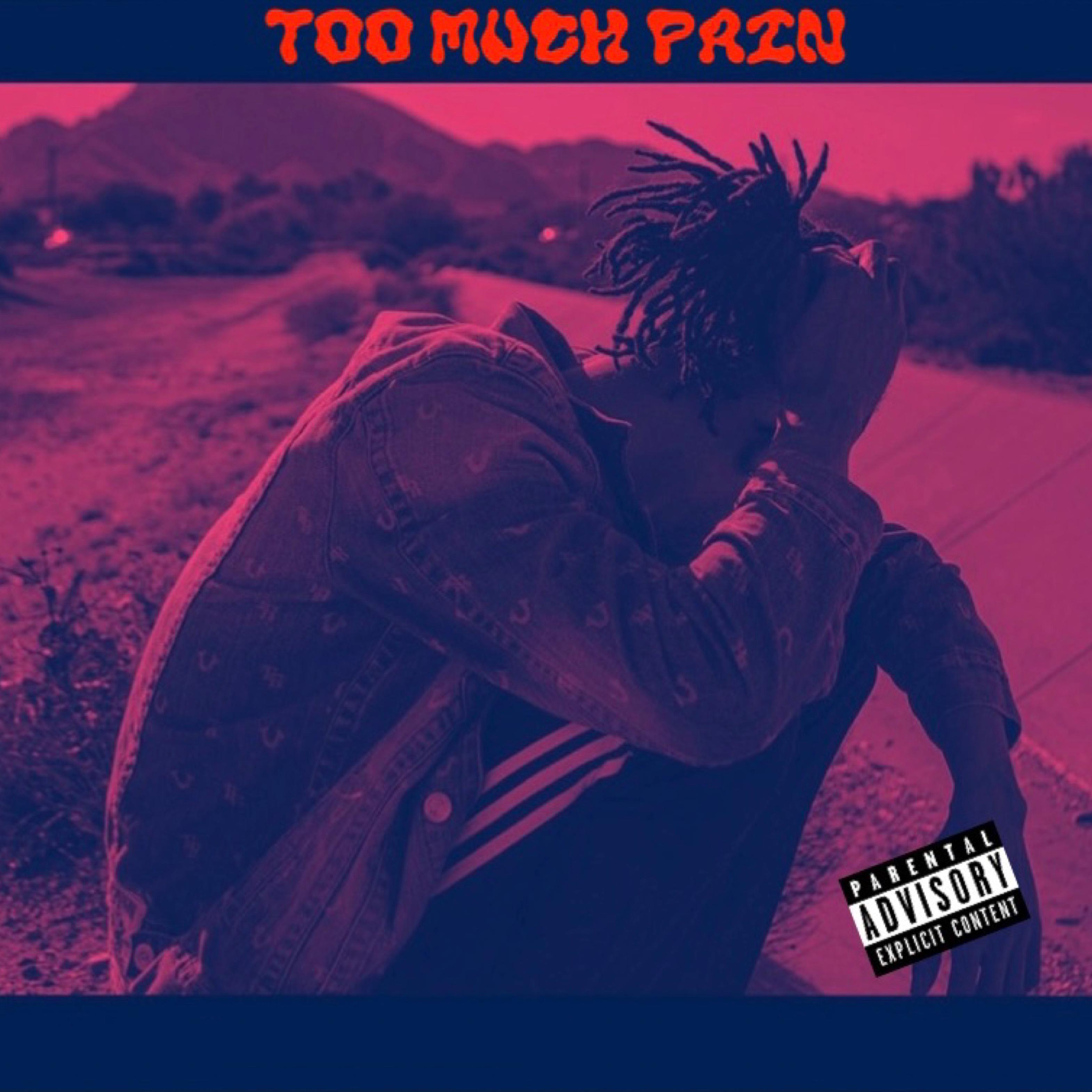 Too Much Pain artwork