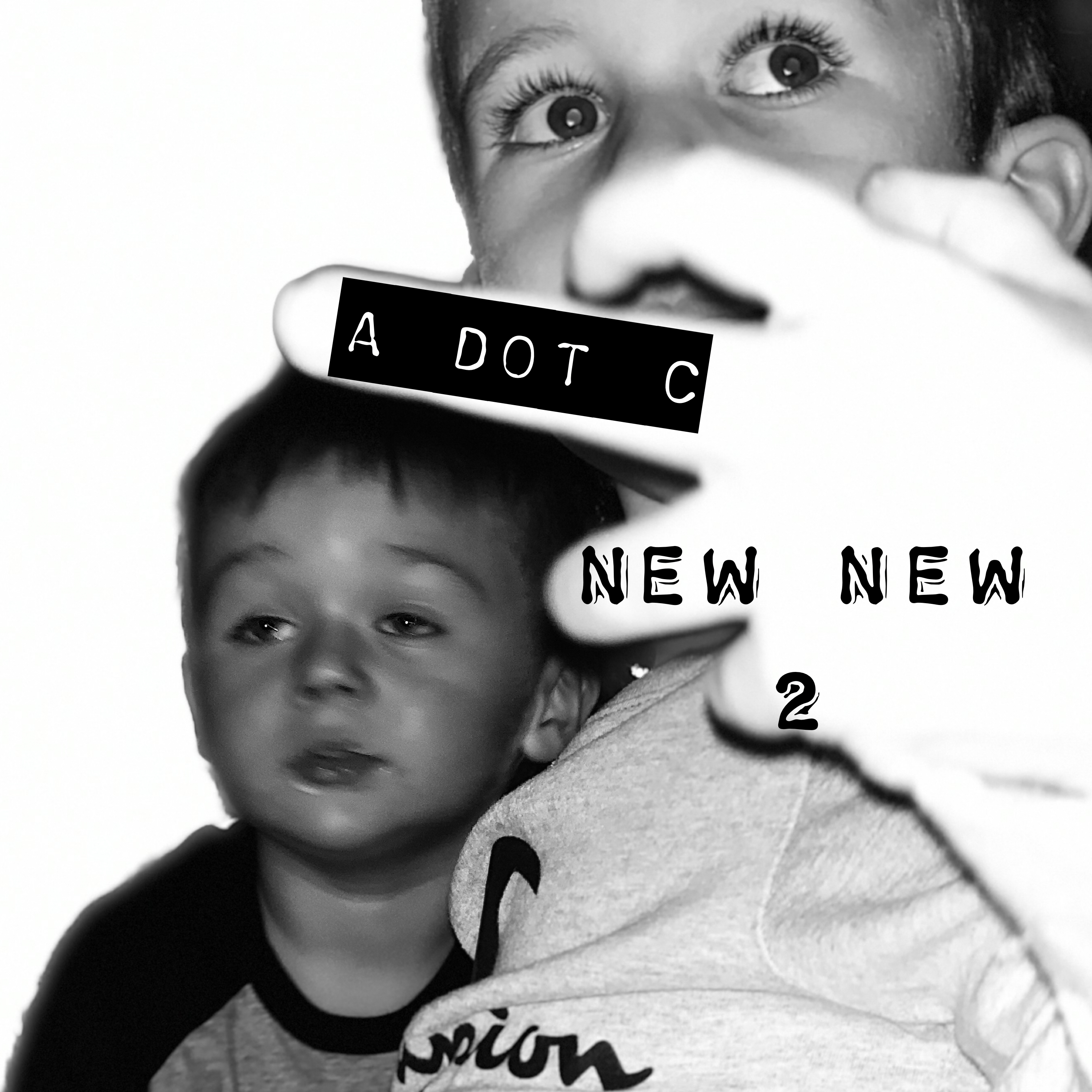 NewNew2 artwork