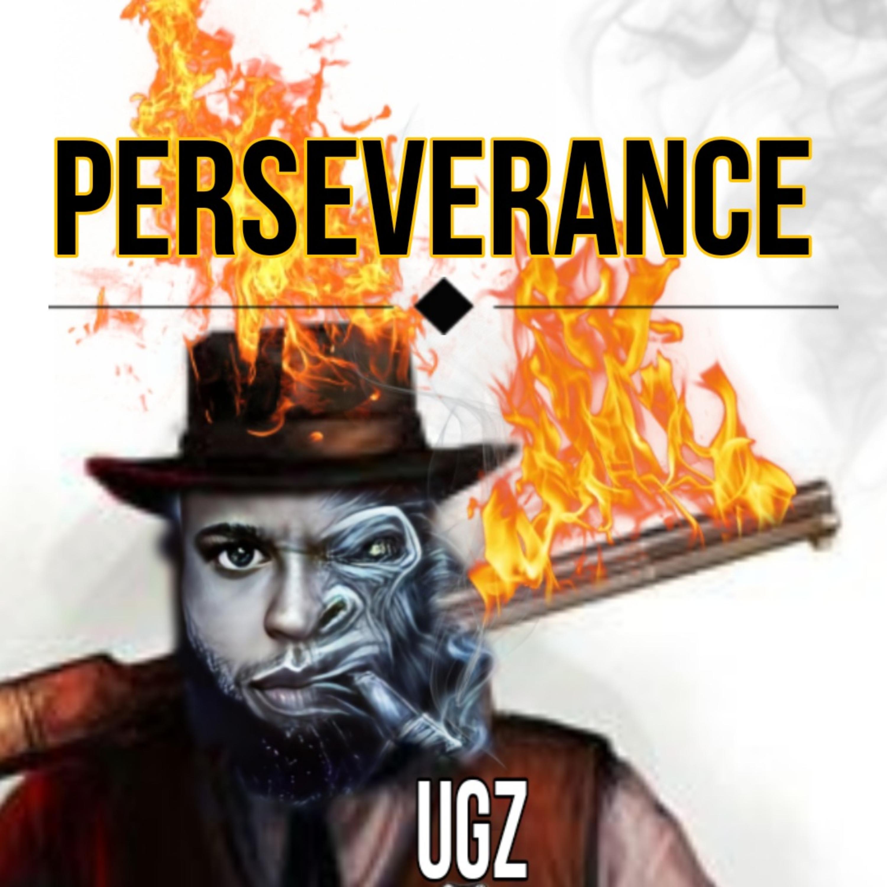 Perseverance artwork