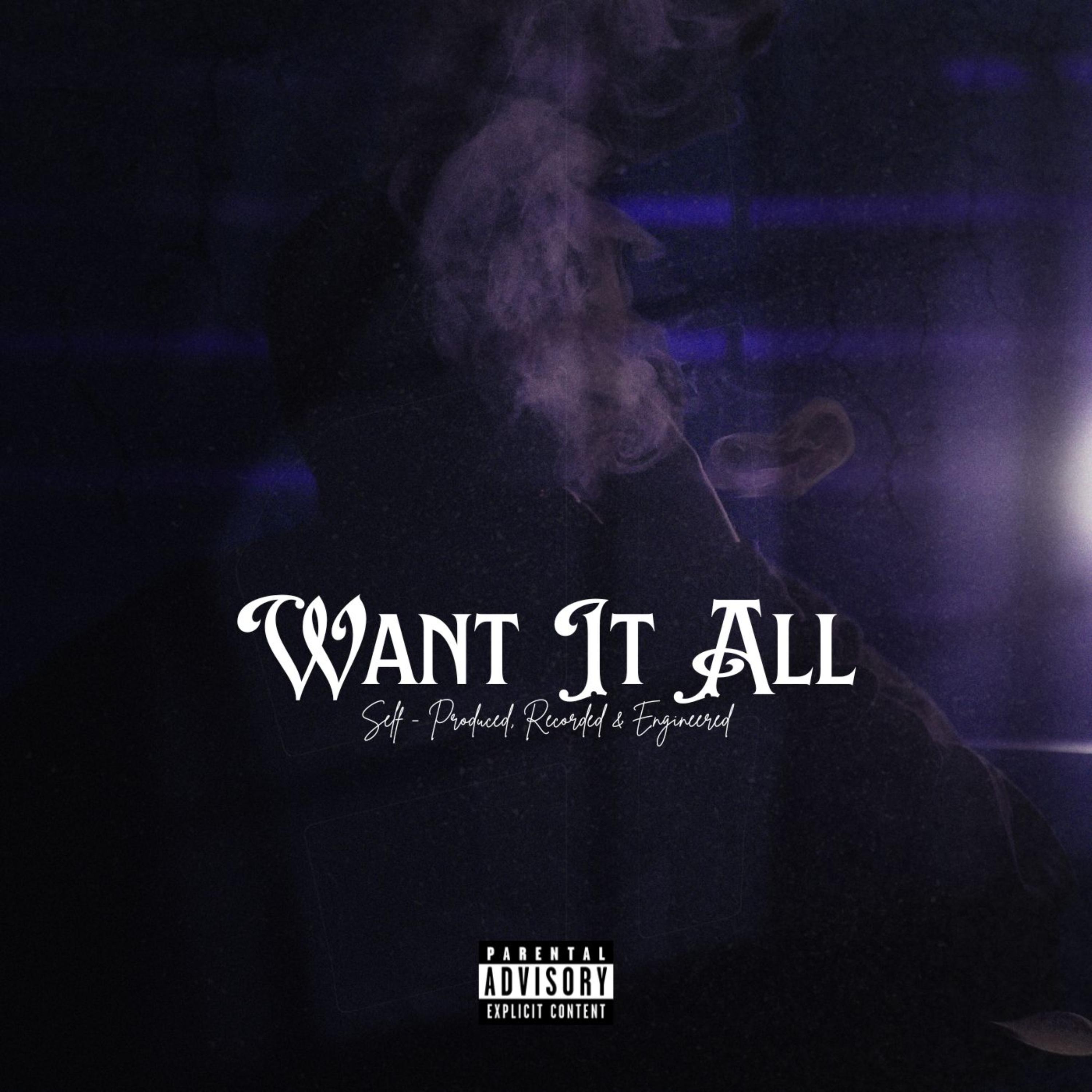 Want It All artwork