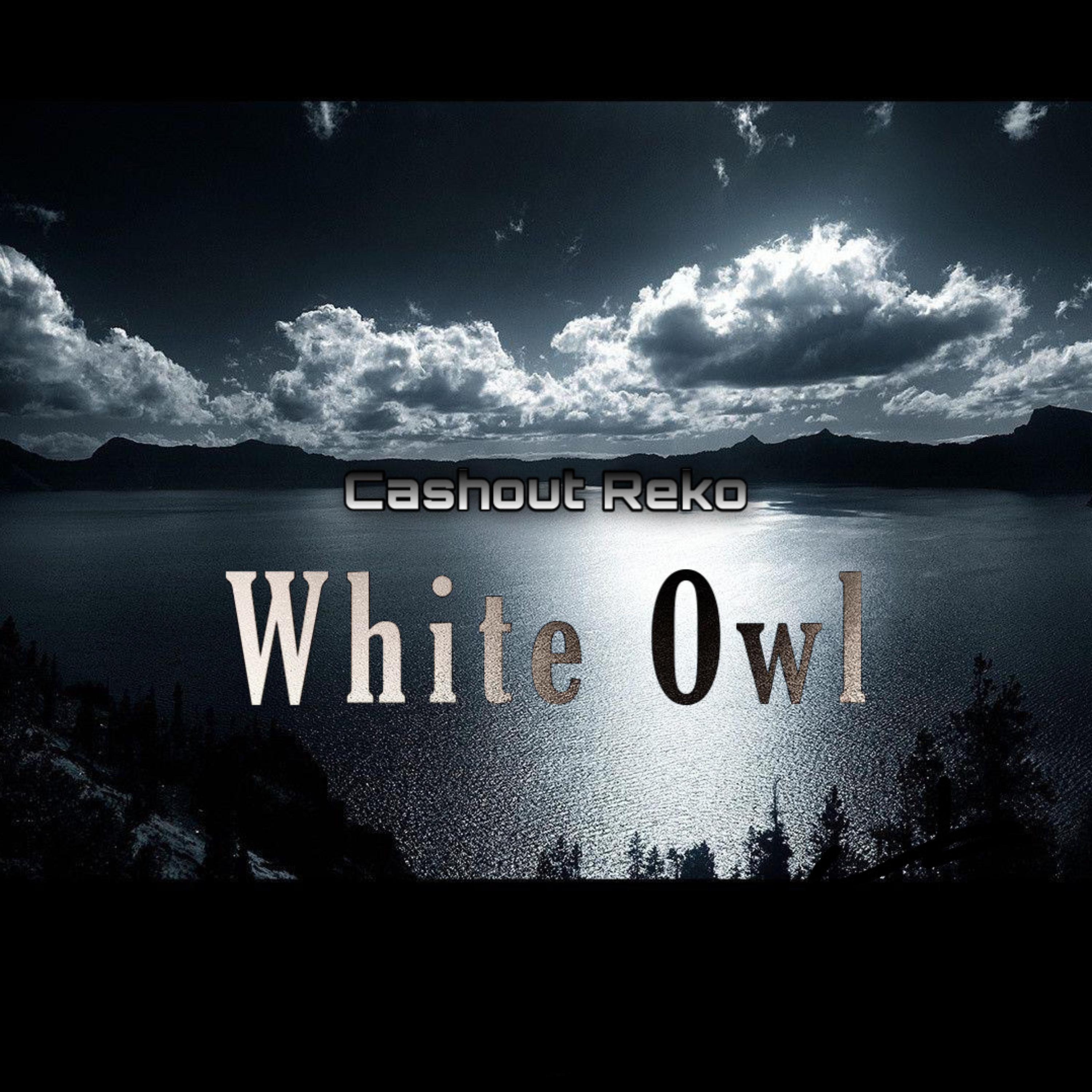 White Owl artwork