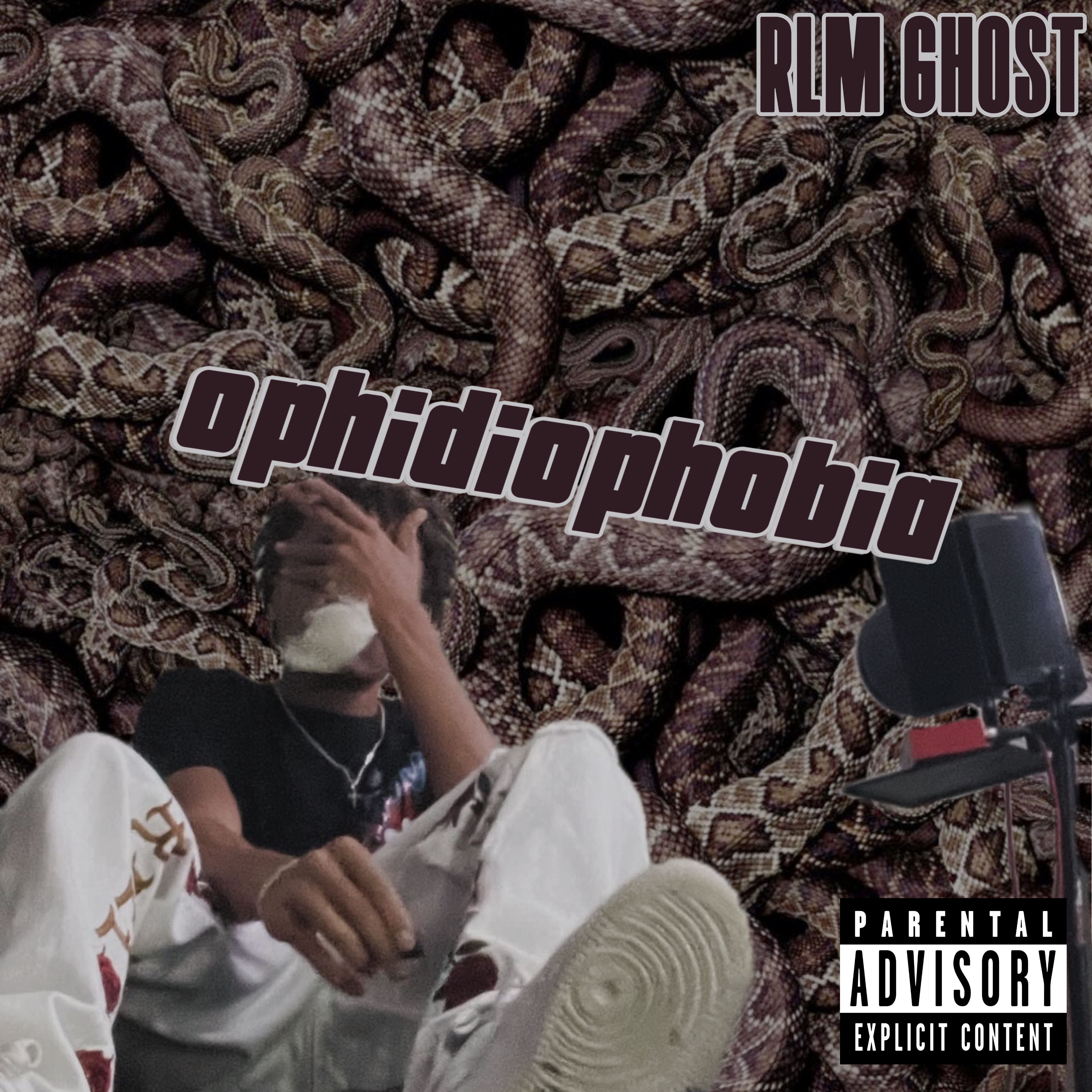 OPHIDIOPHOBIA artwork