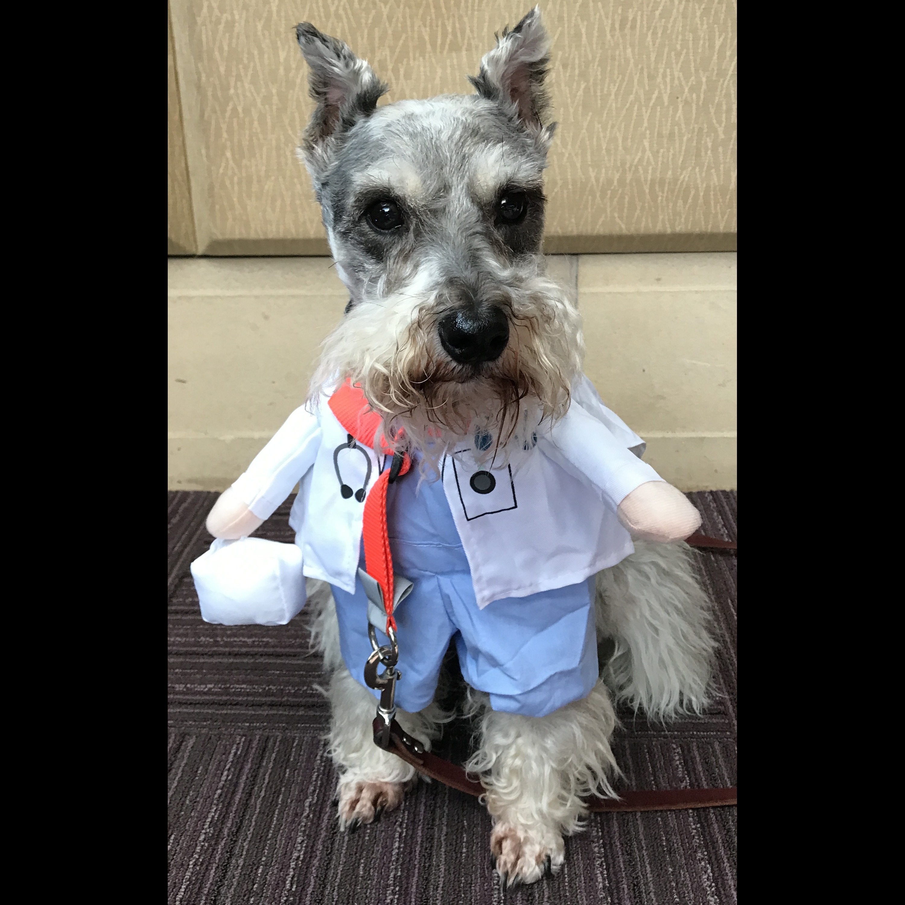 My Therapist Has A Wet Nose artwork