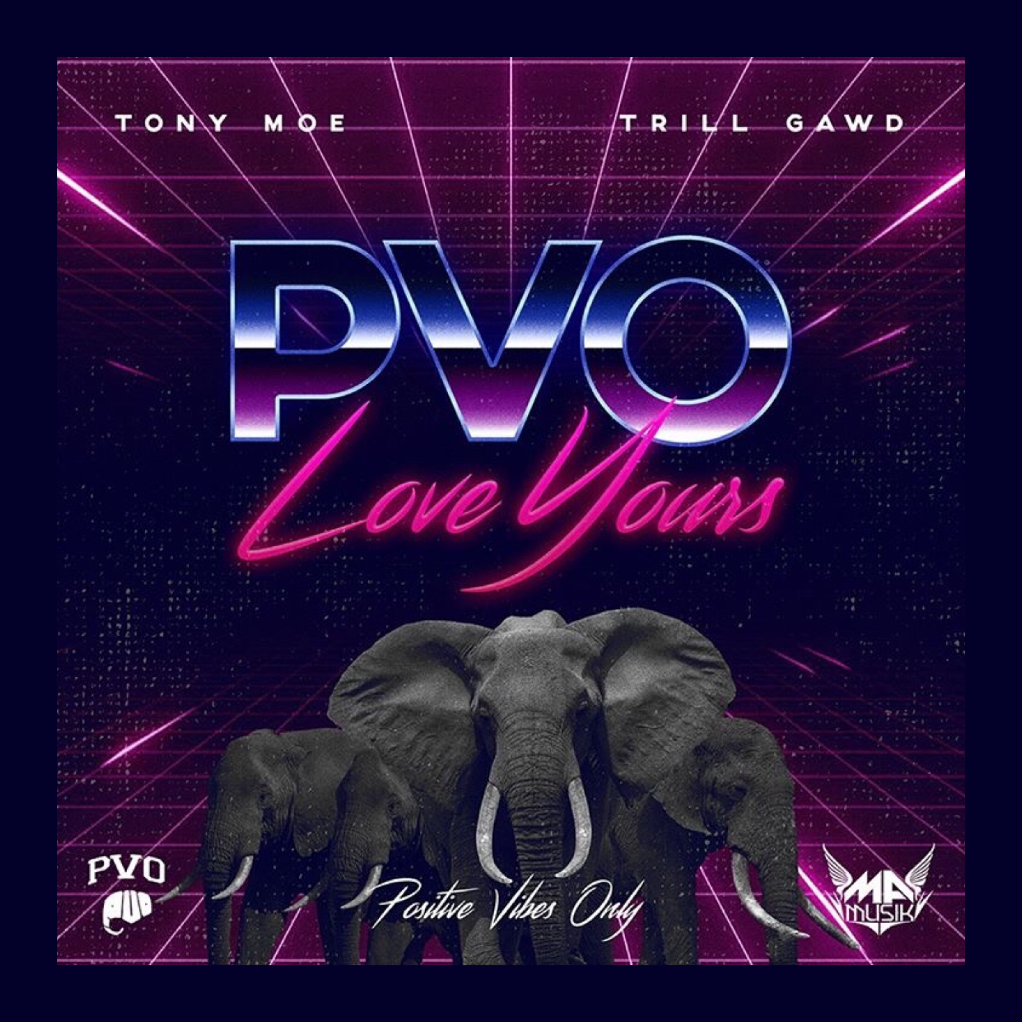 PVO Theme Song artwork