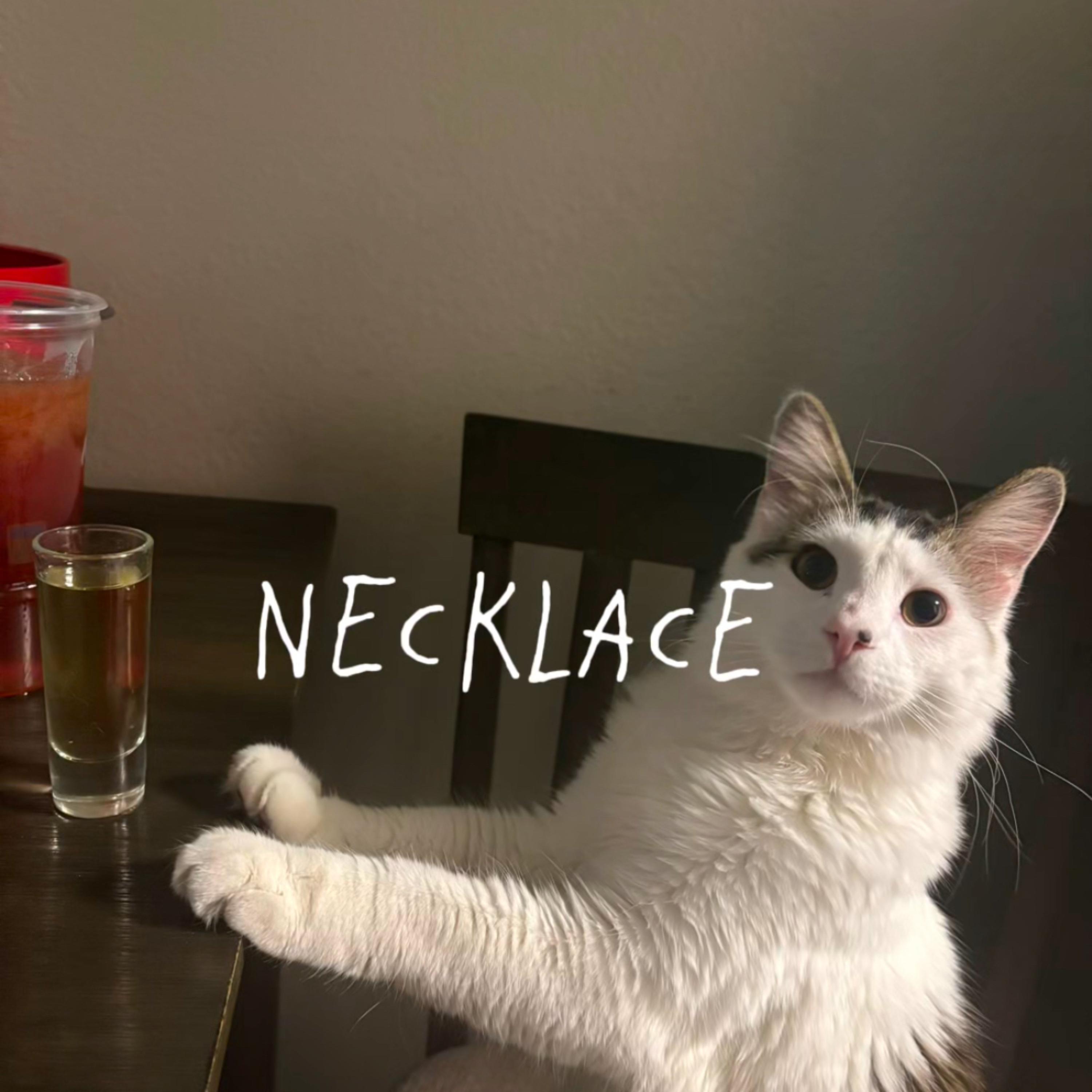 Necklace artwork