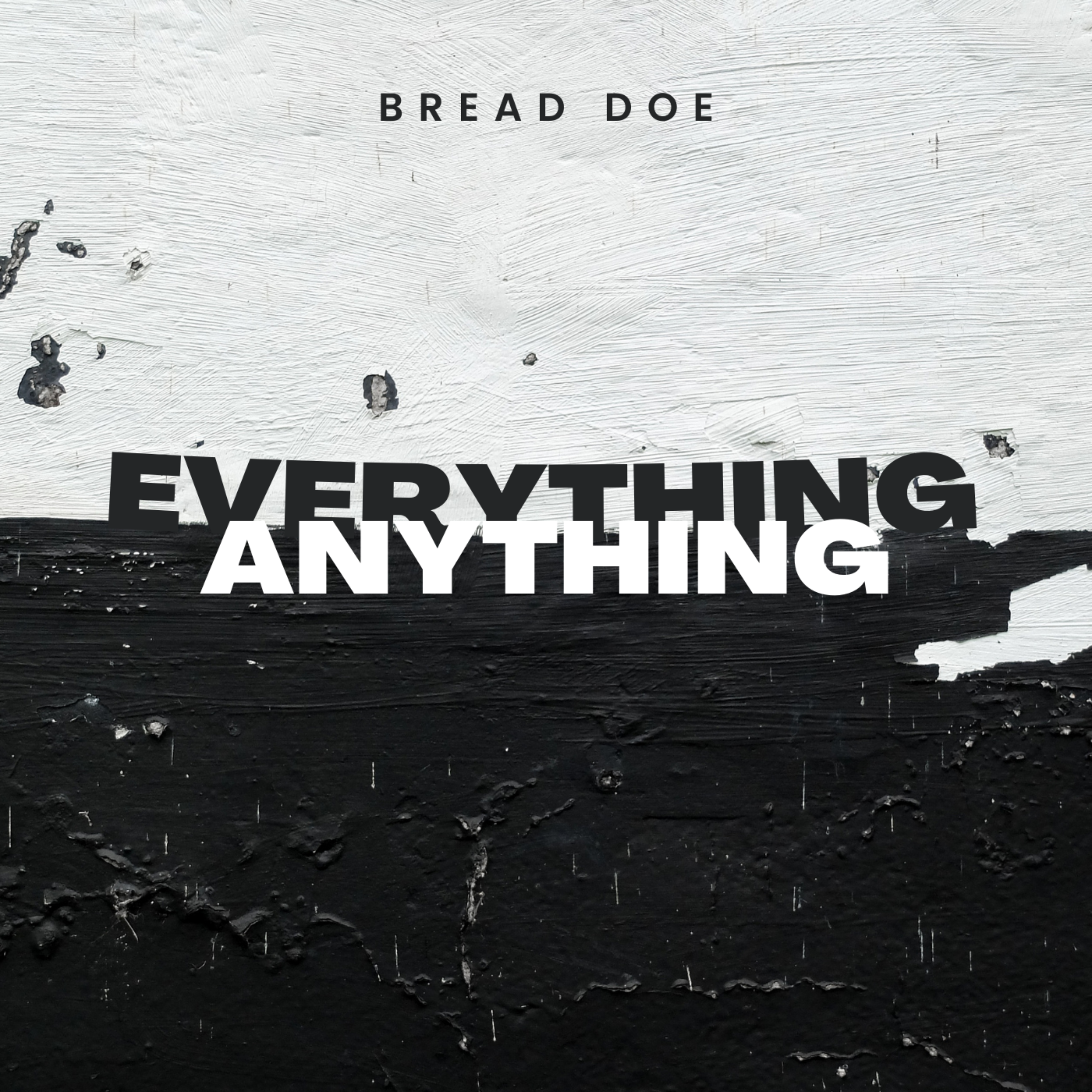Everything, Anything artwork