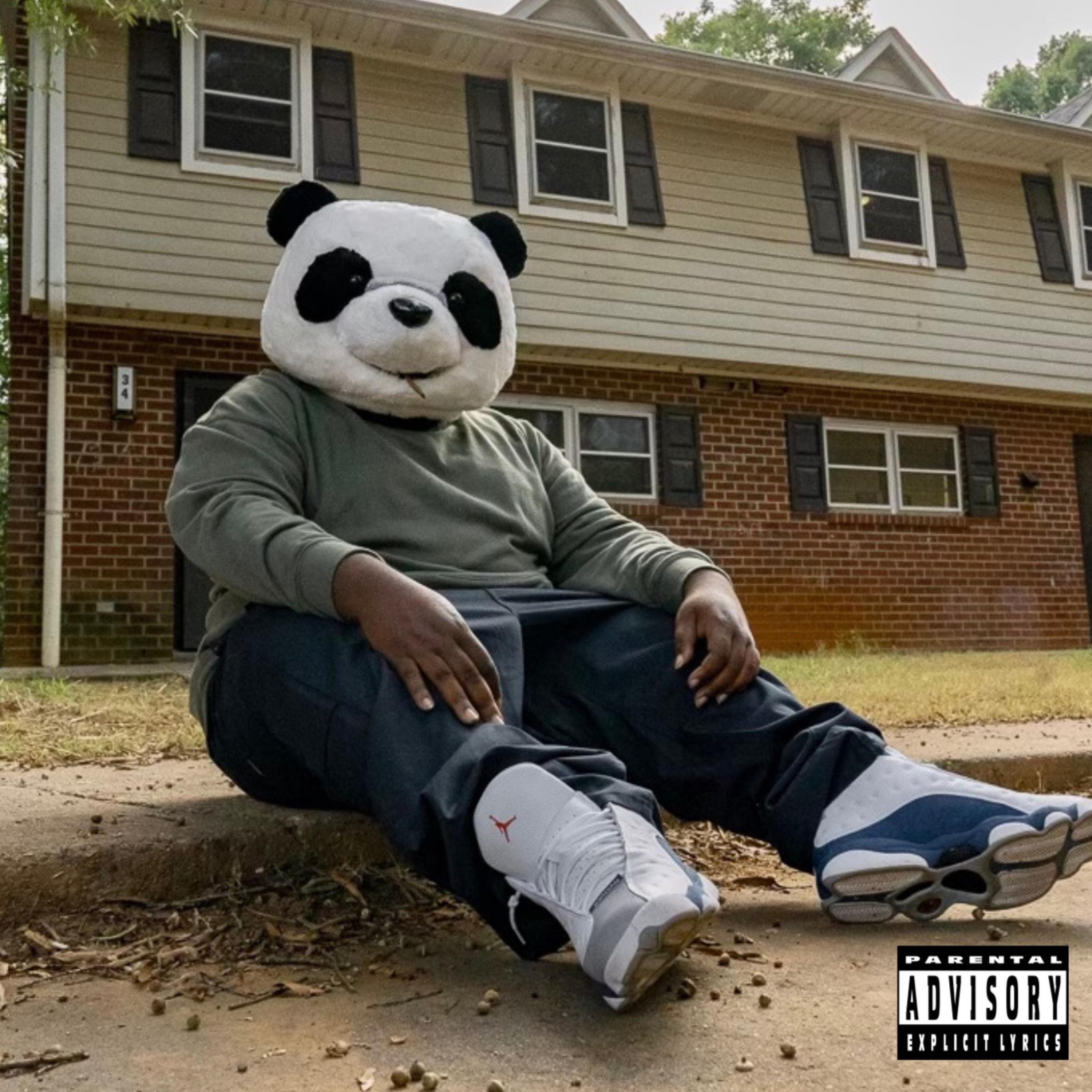 THE PANDA IN THE SWAMP artwork