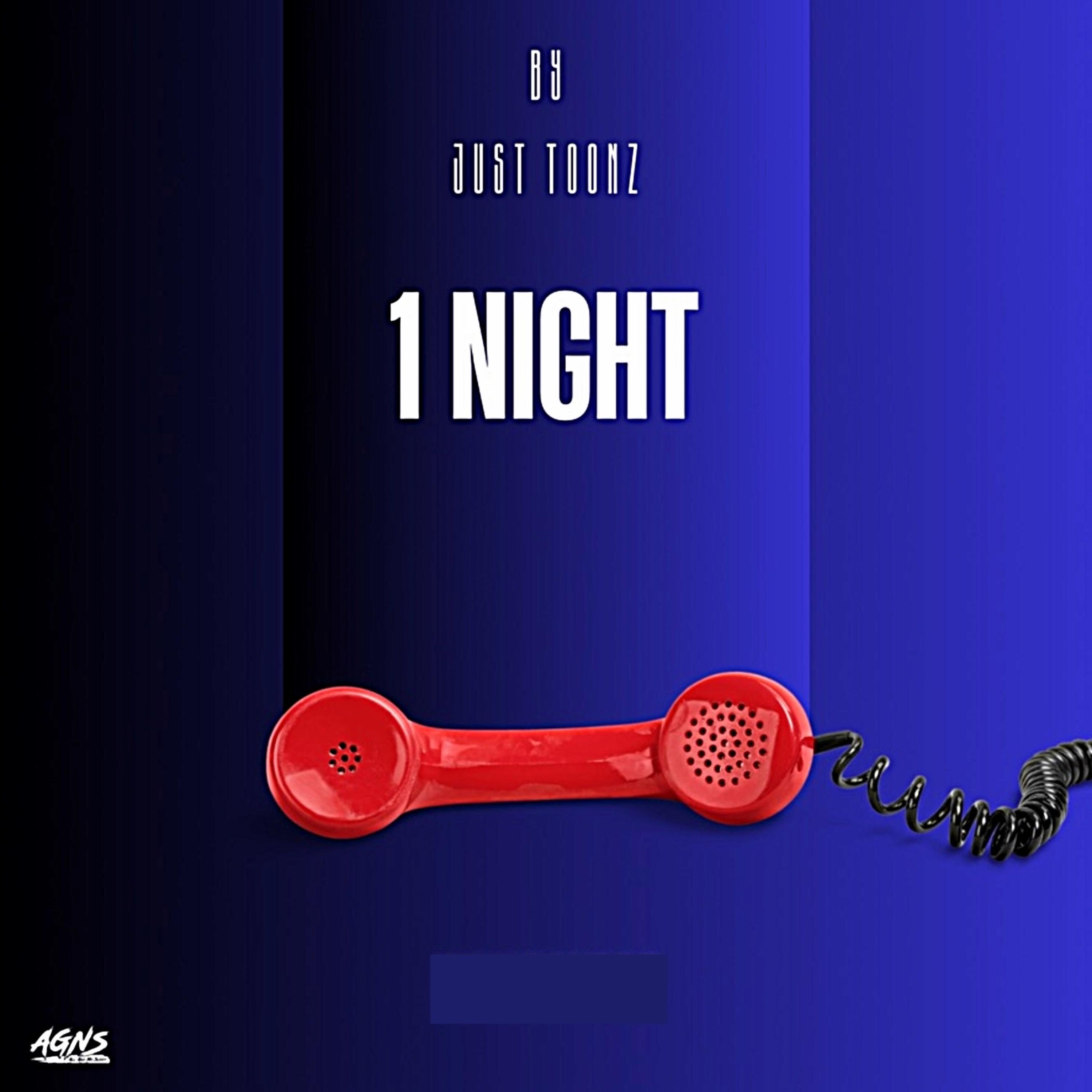 1 Night artwork