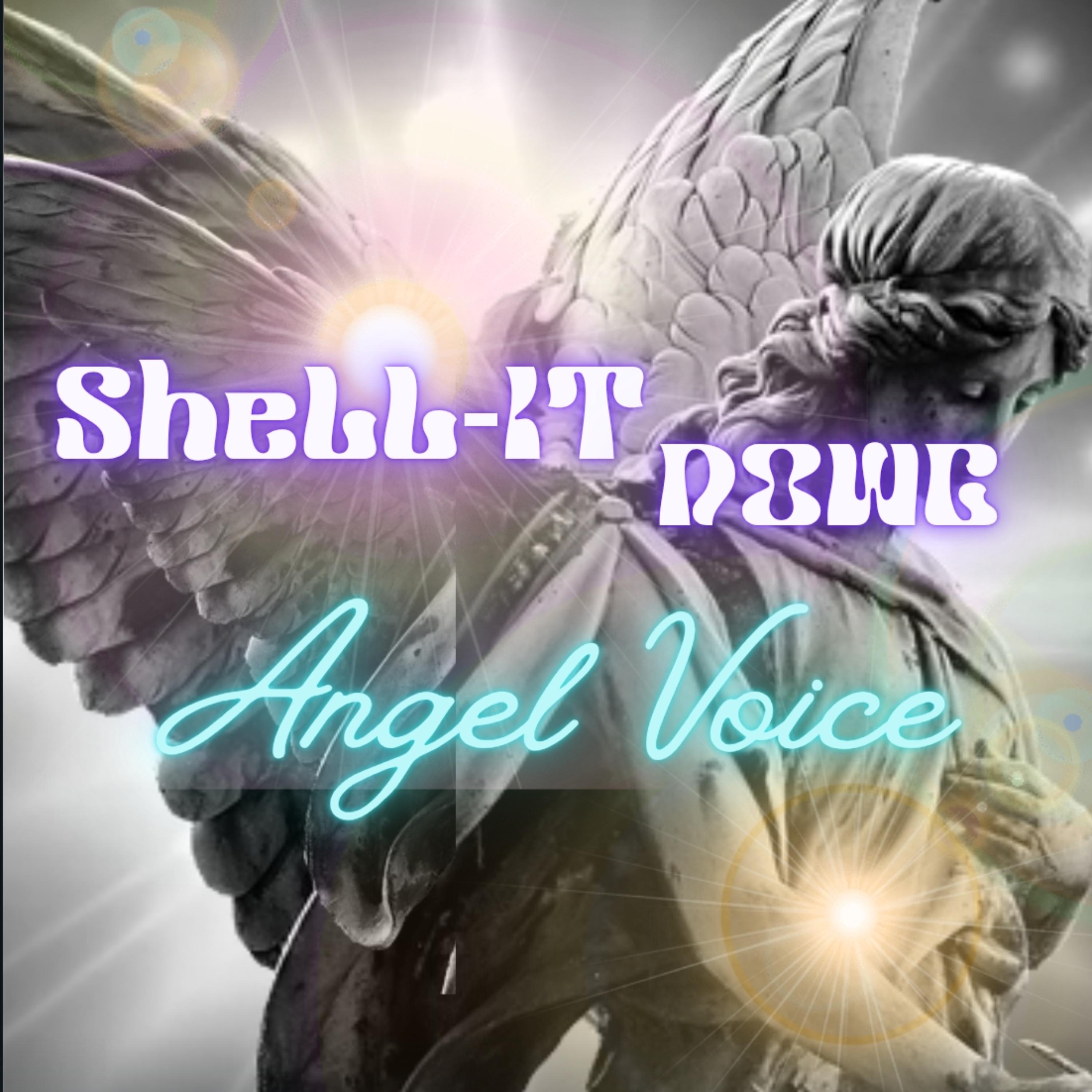 Angel Voice by KNOWME cover art