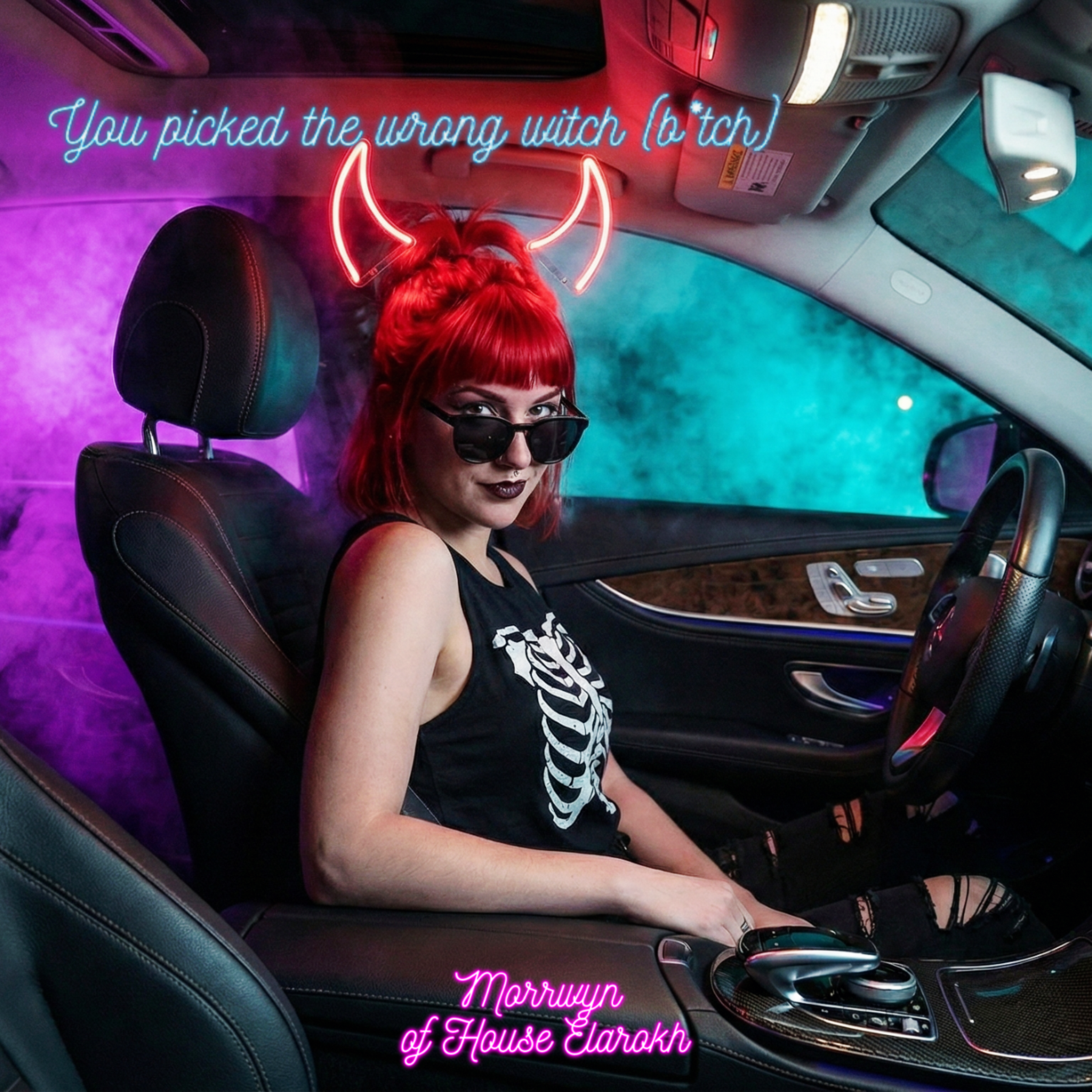 you picked the wrong witch (bitch) artwork