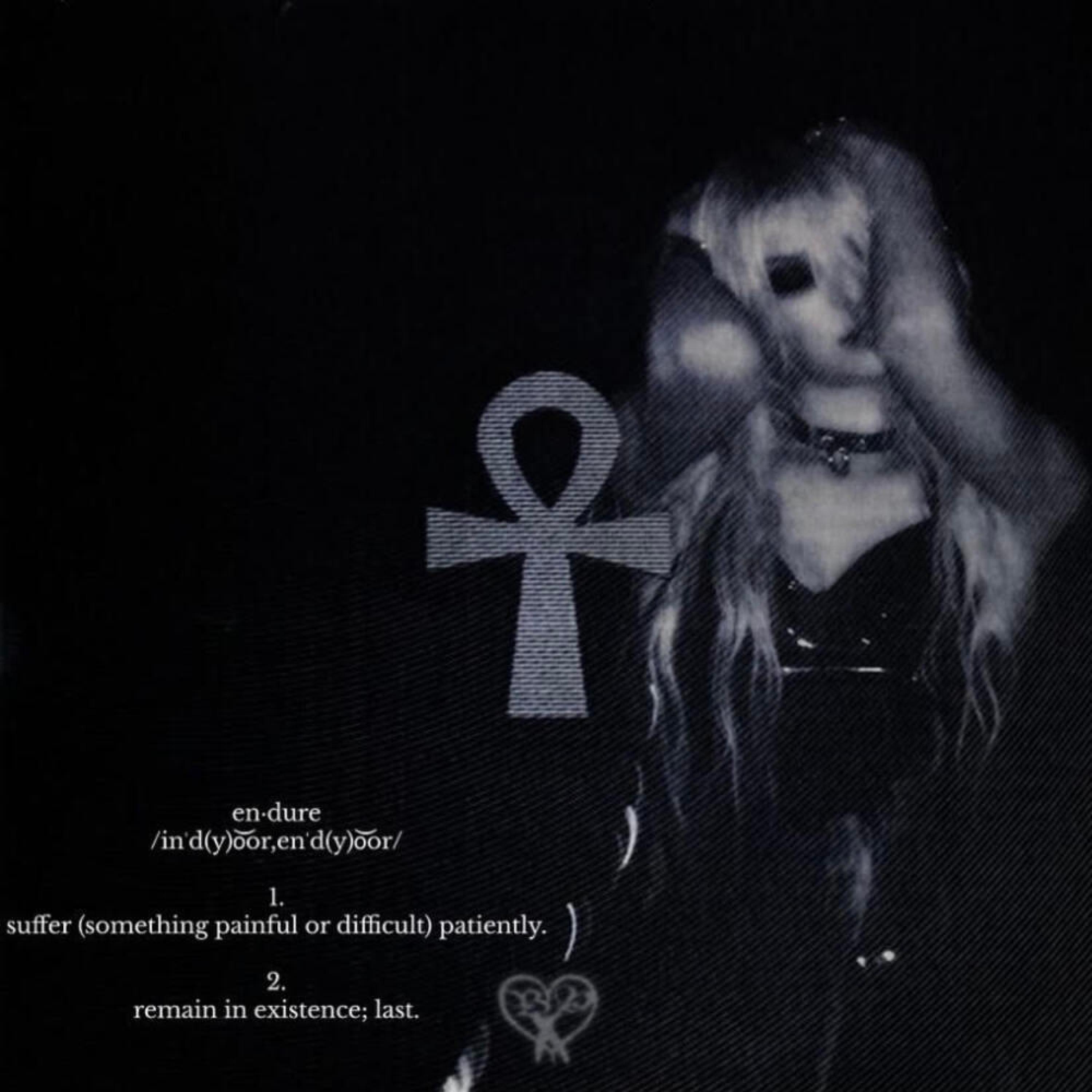 Endure artwork