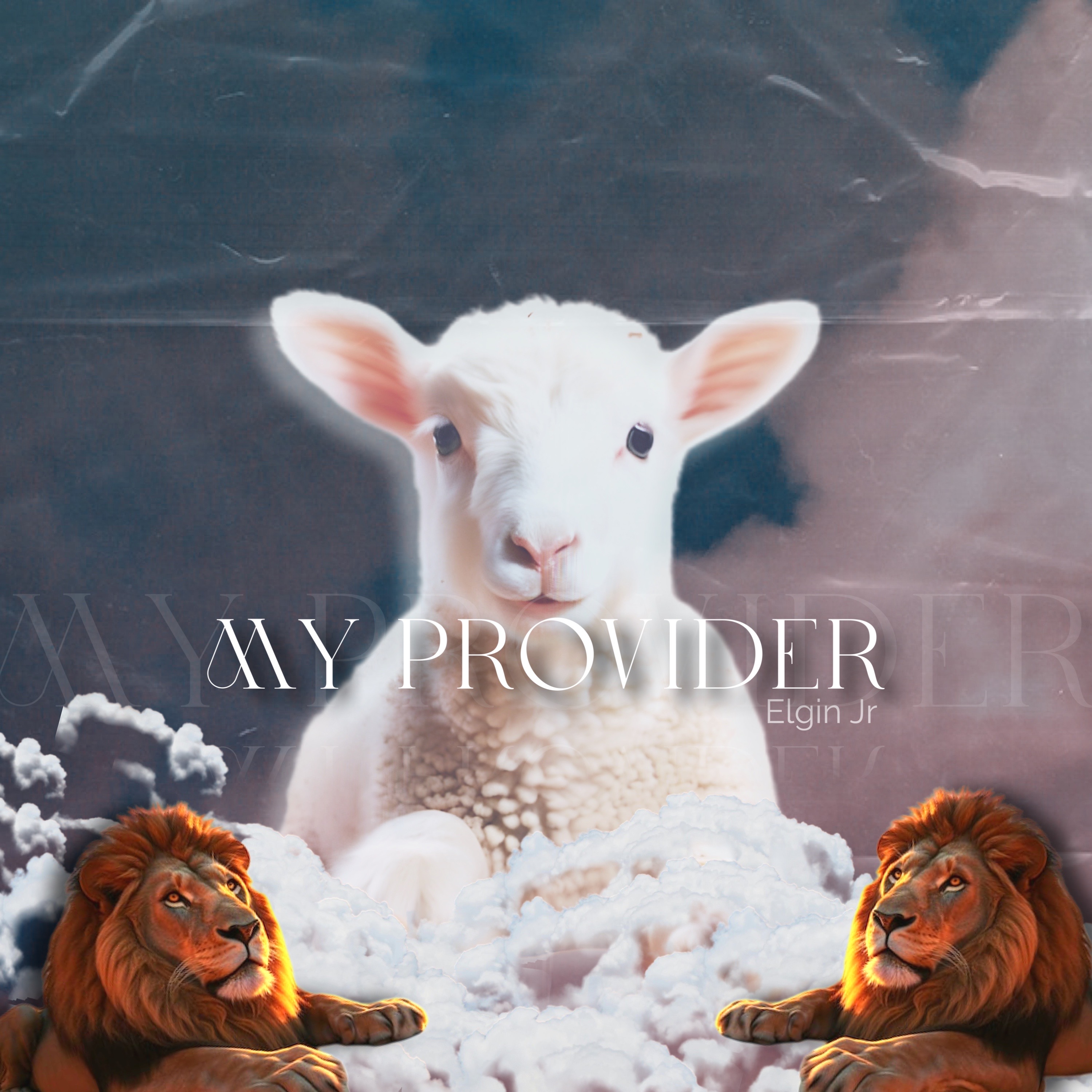 My Provider artwork