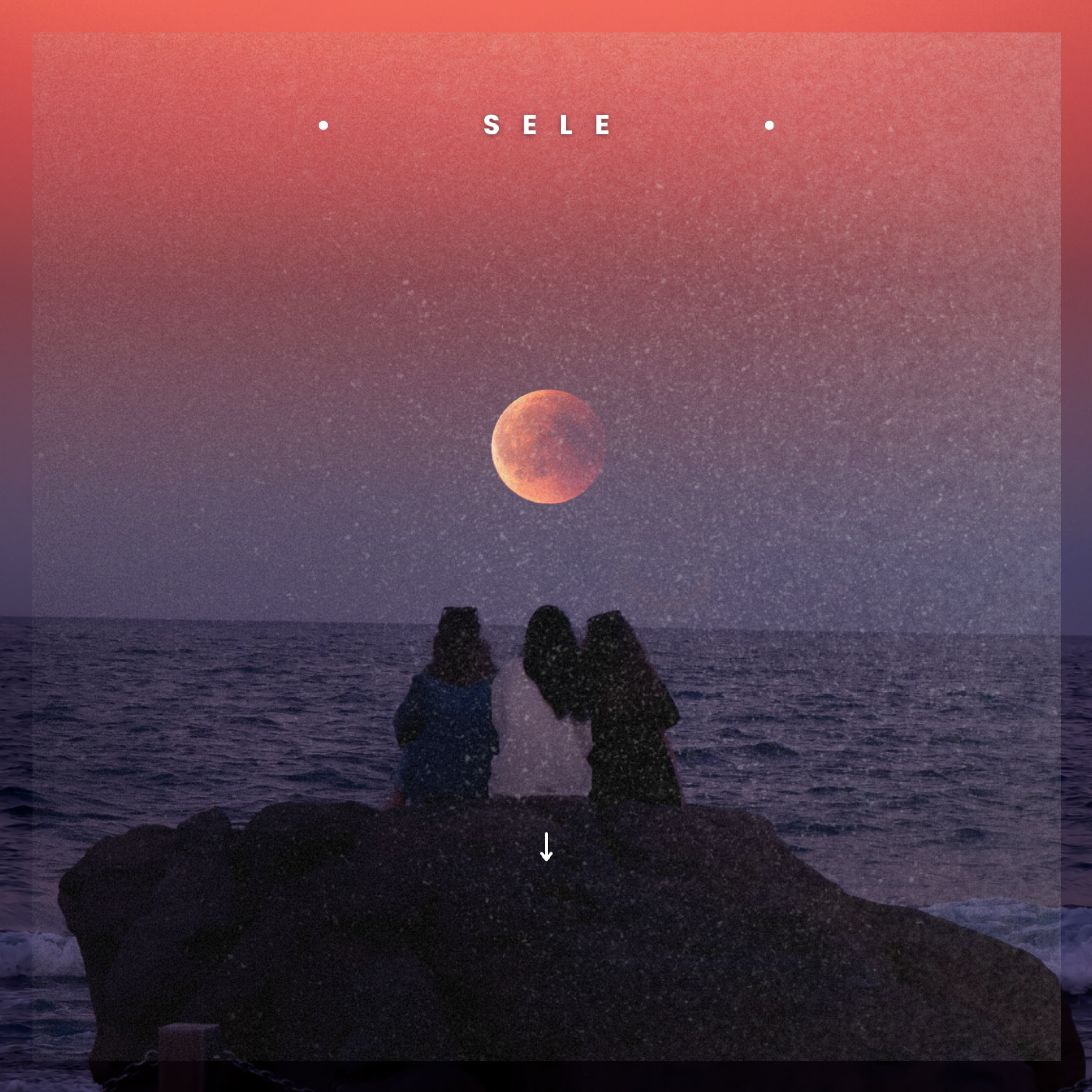 Sele artwork