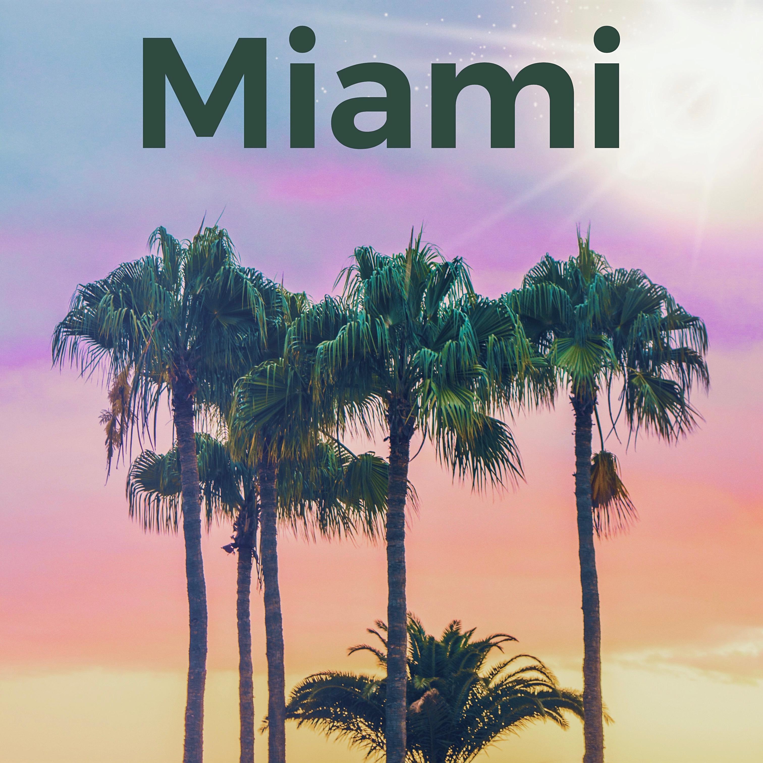 Miami artwork