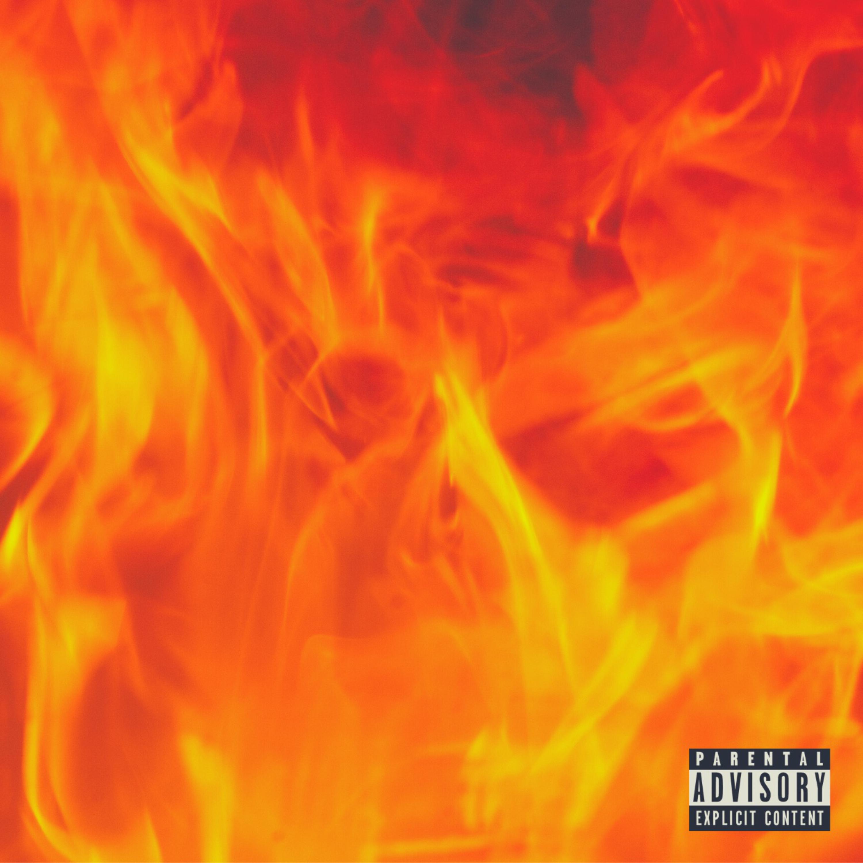 FIRE by Steve Cash cover art
