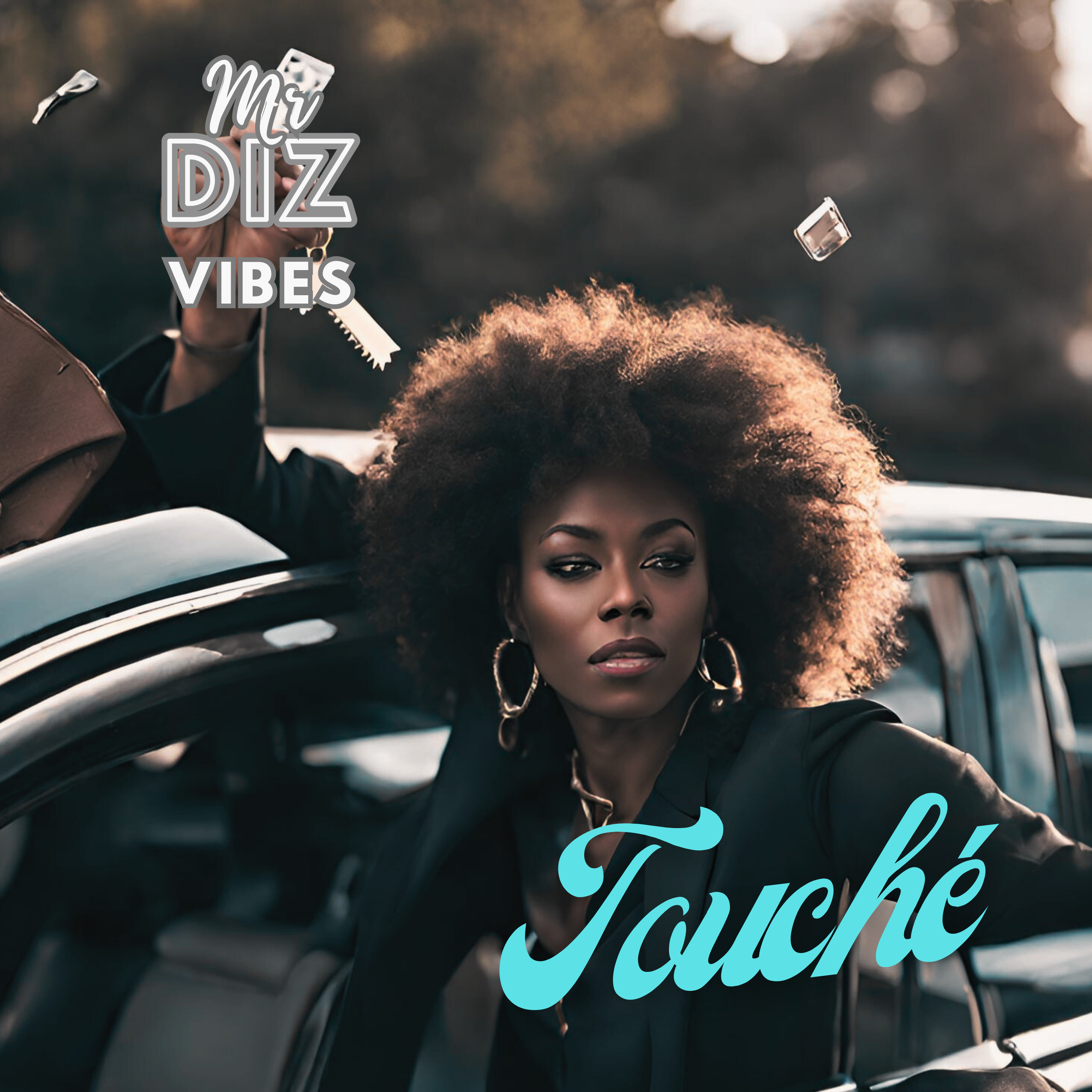 Touché (rediz) by Mr Diz cover art
