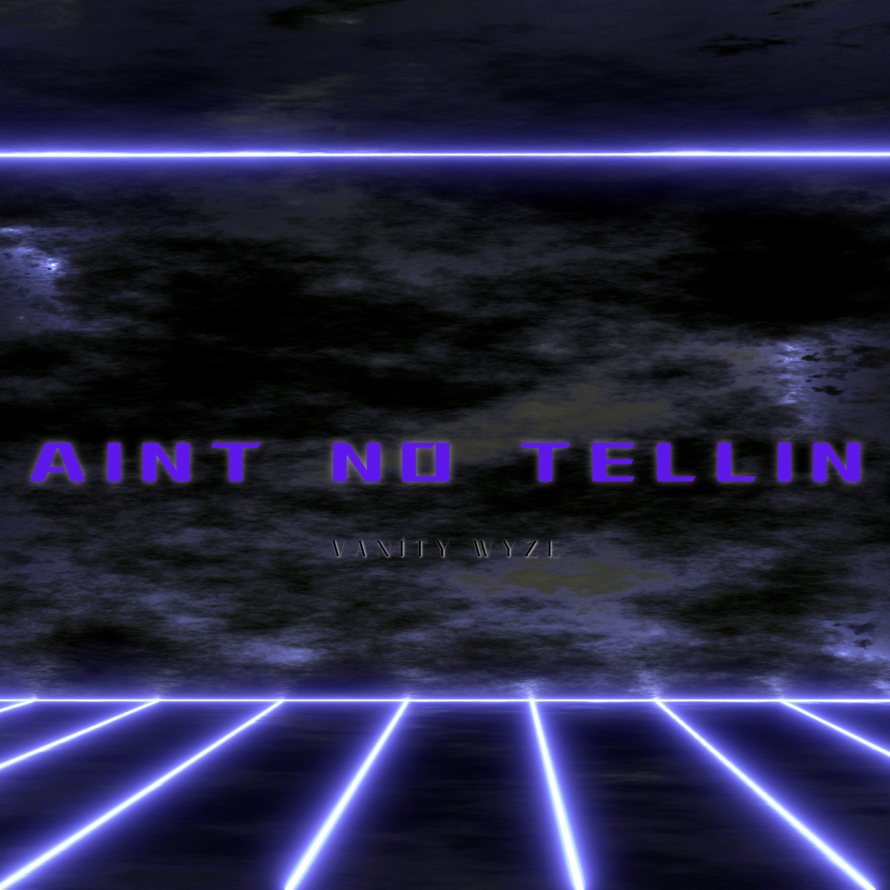 Aint No Tellin by Vanity Wyze cover art