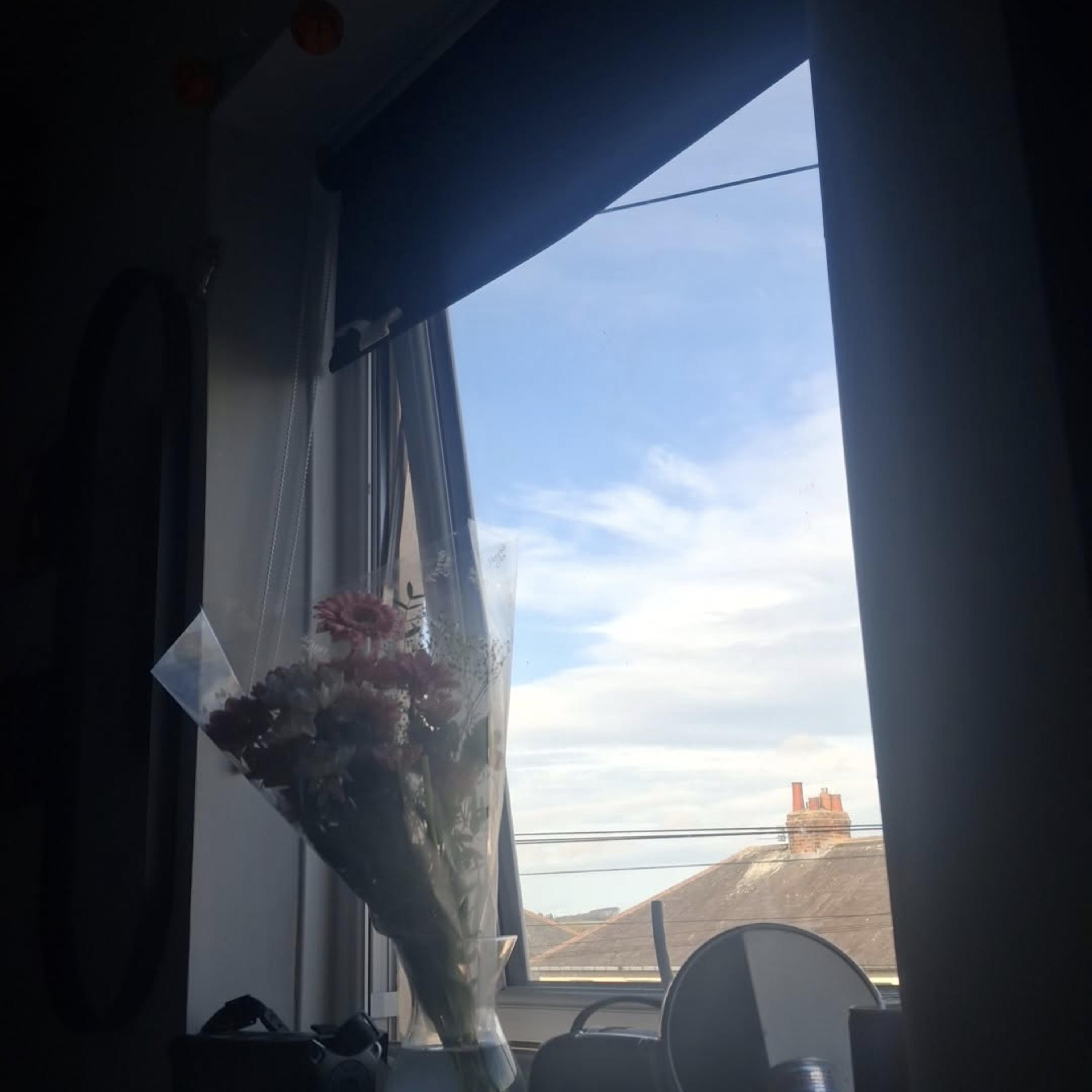Flowers by Xrld cover art