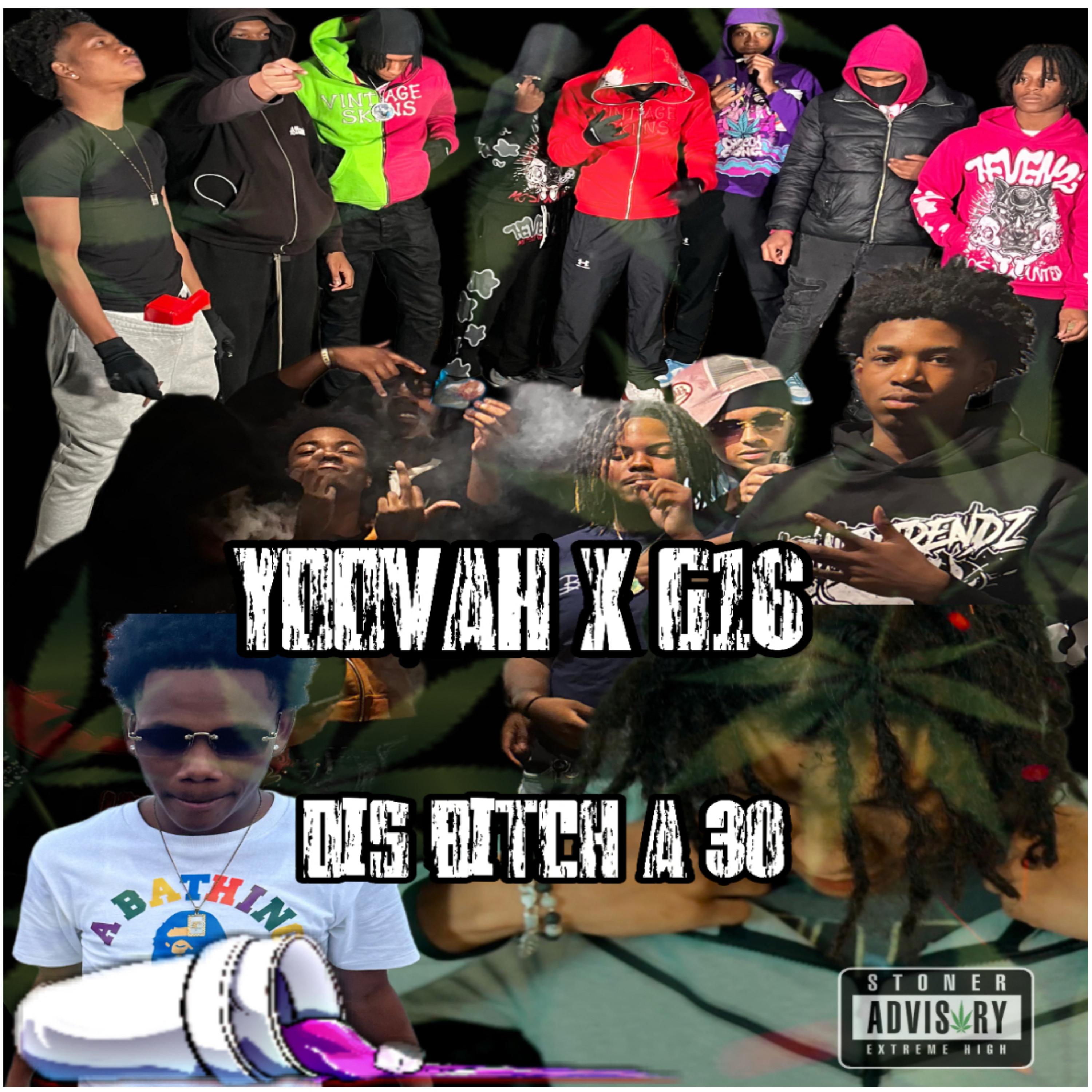 Dis Bitch A 30 artwork