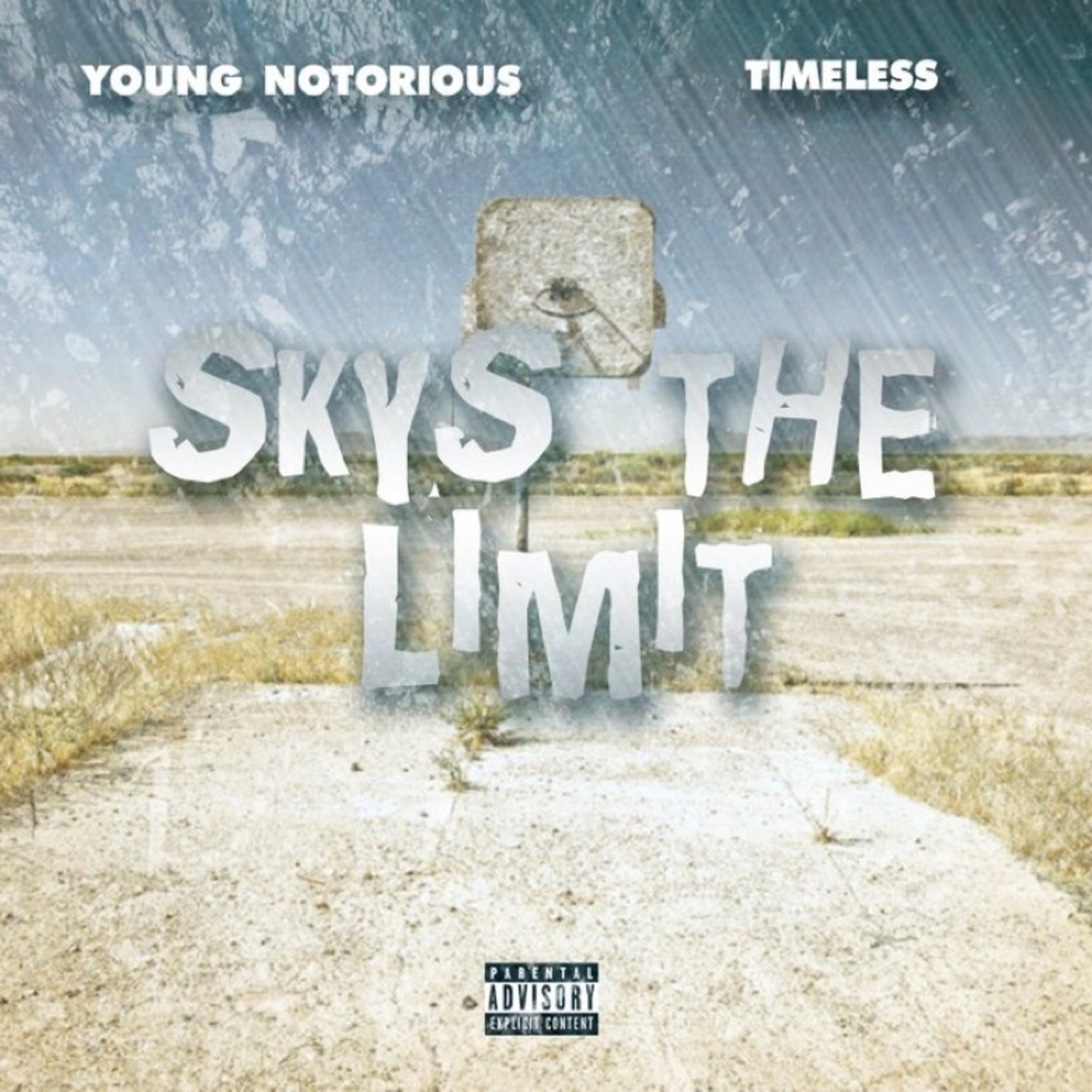 Skys The Limit artwork