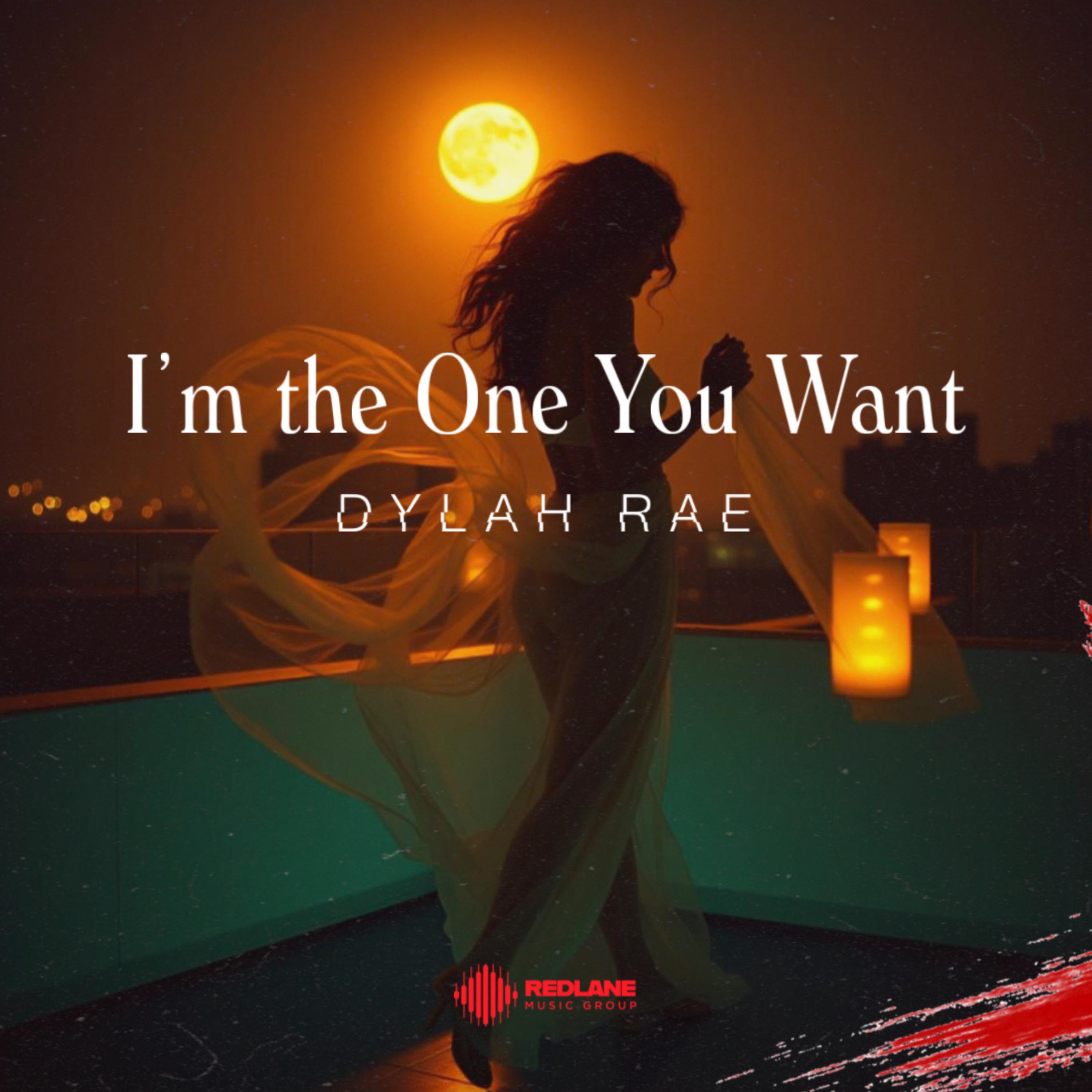 I’m the One You Want artwork