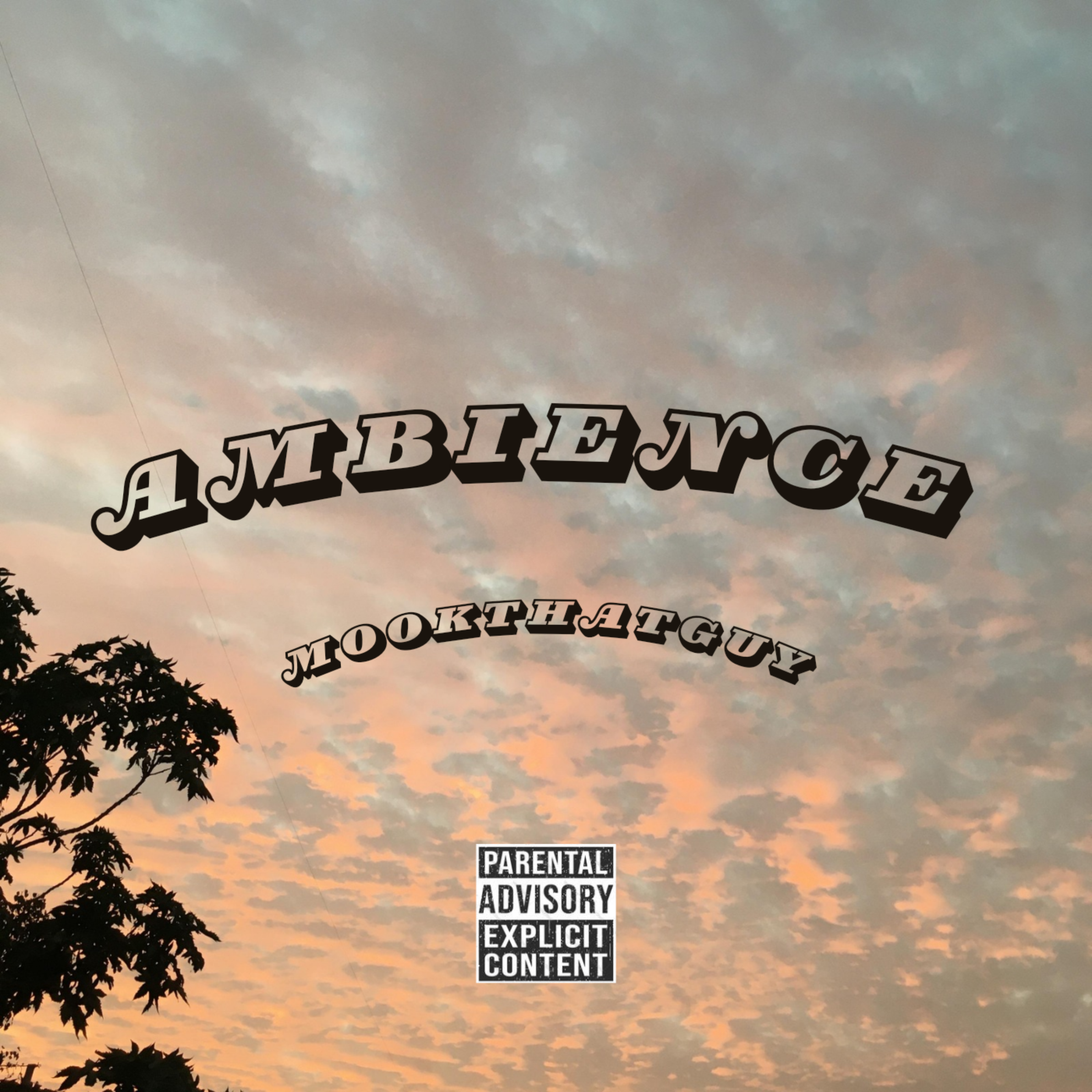 Ambience artwork
