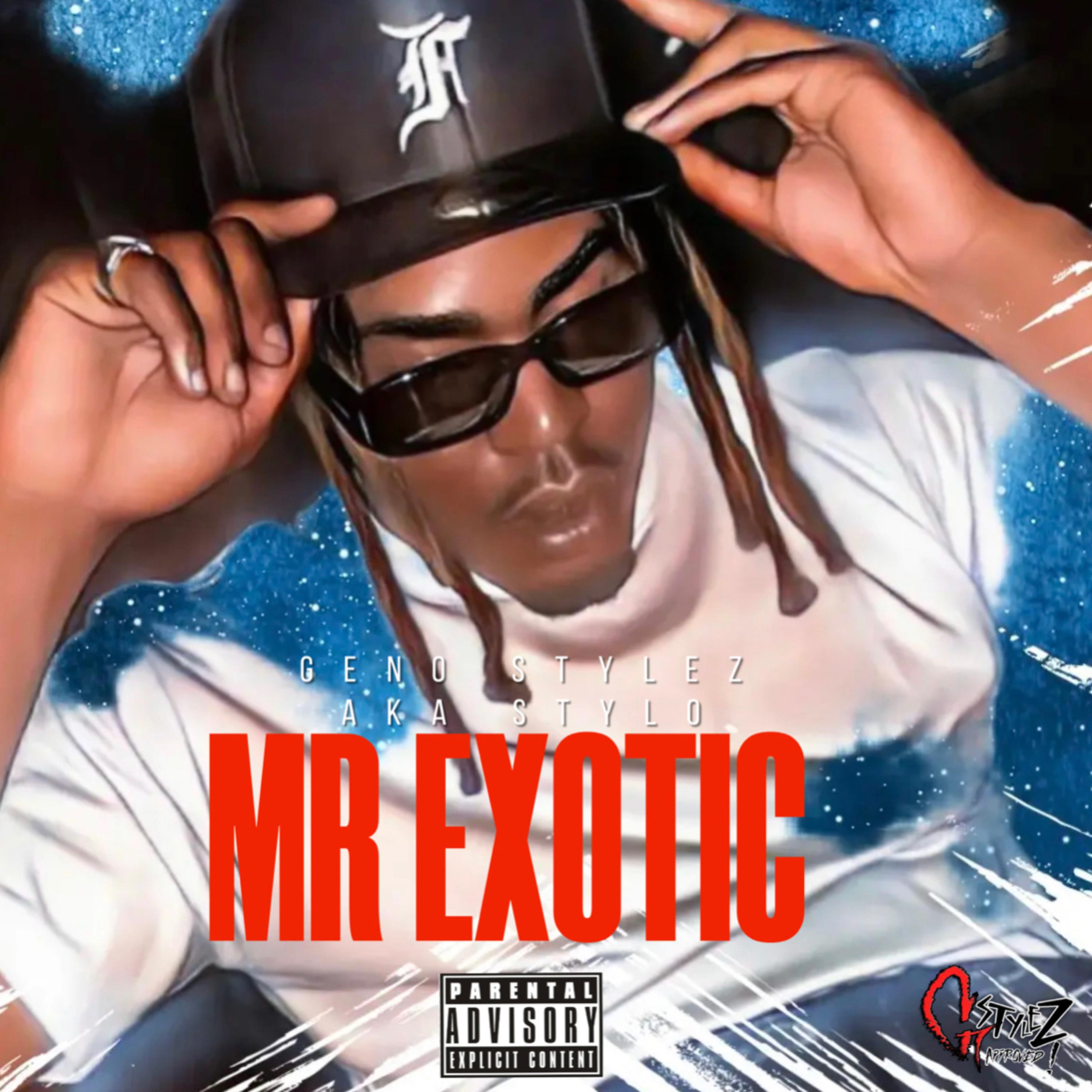 MR EXOTIC artwork