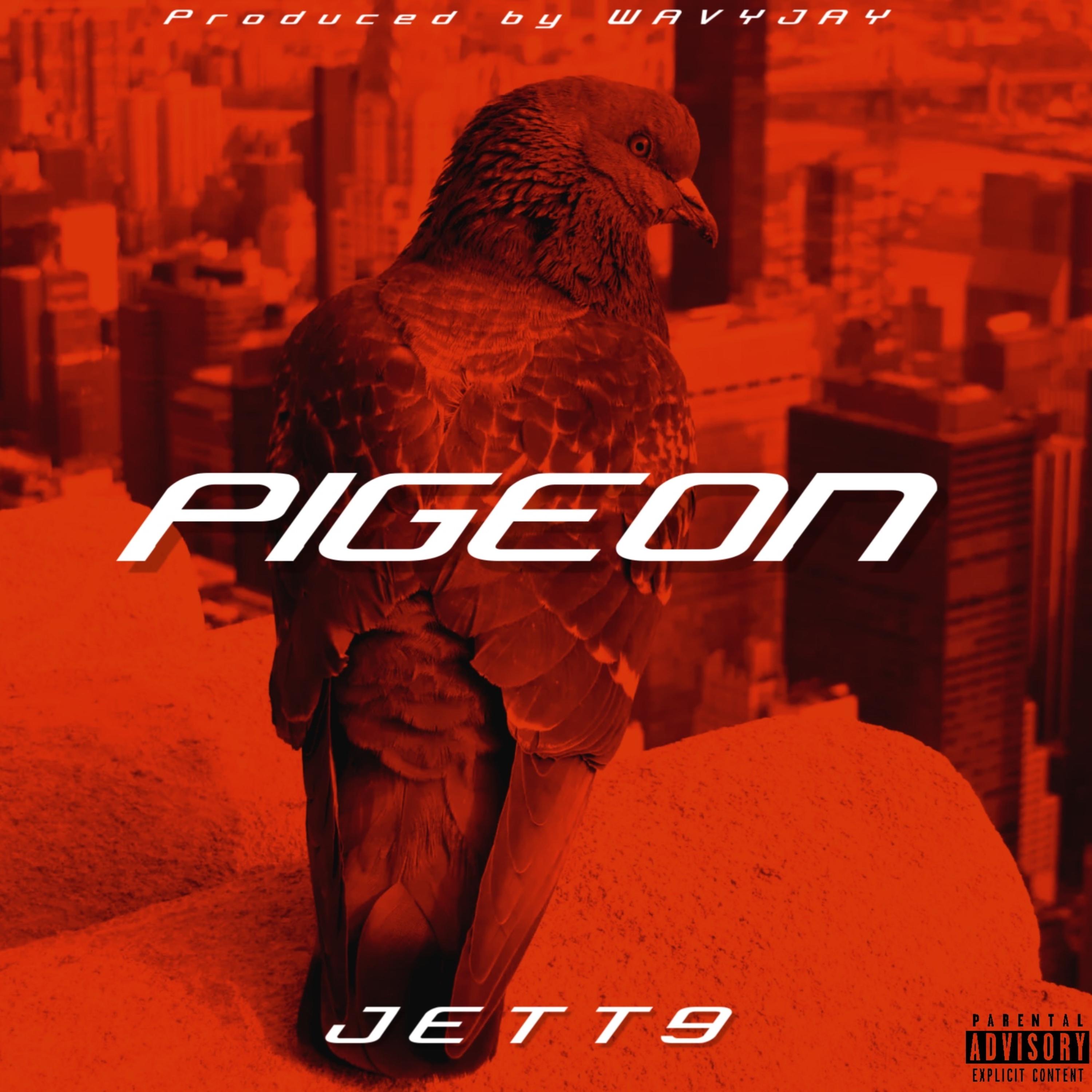 PIGEON artwork