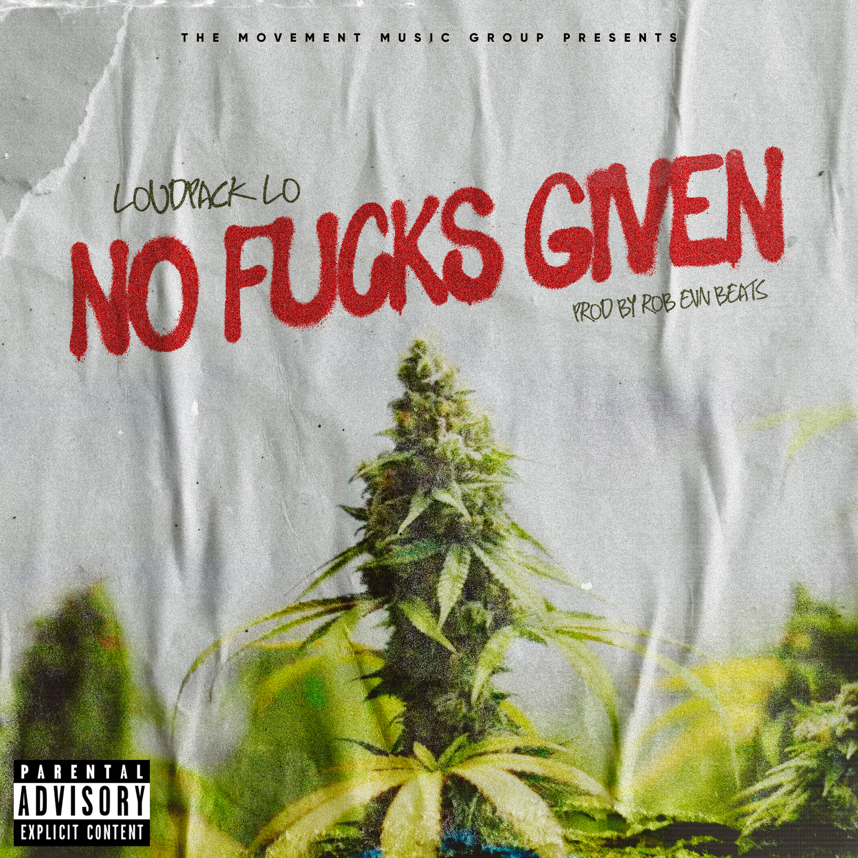 No Fucks Given artwork