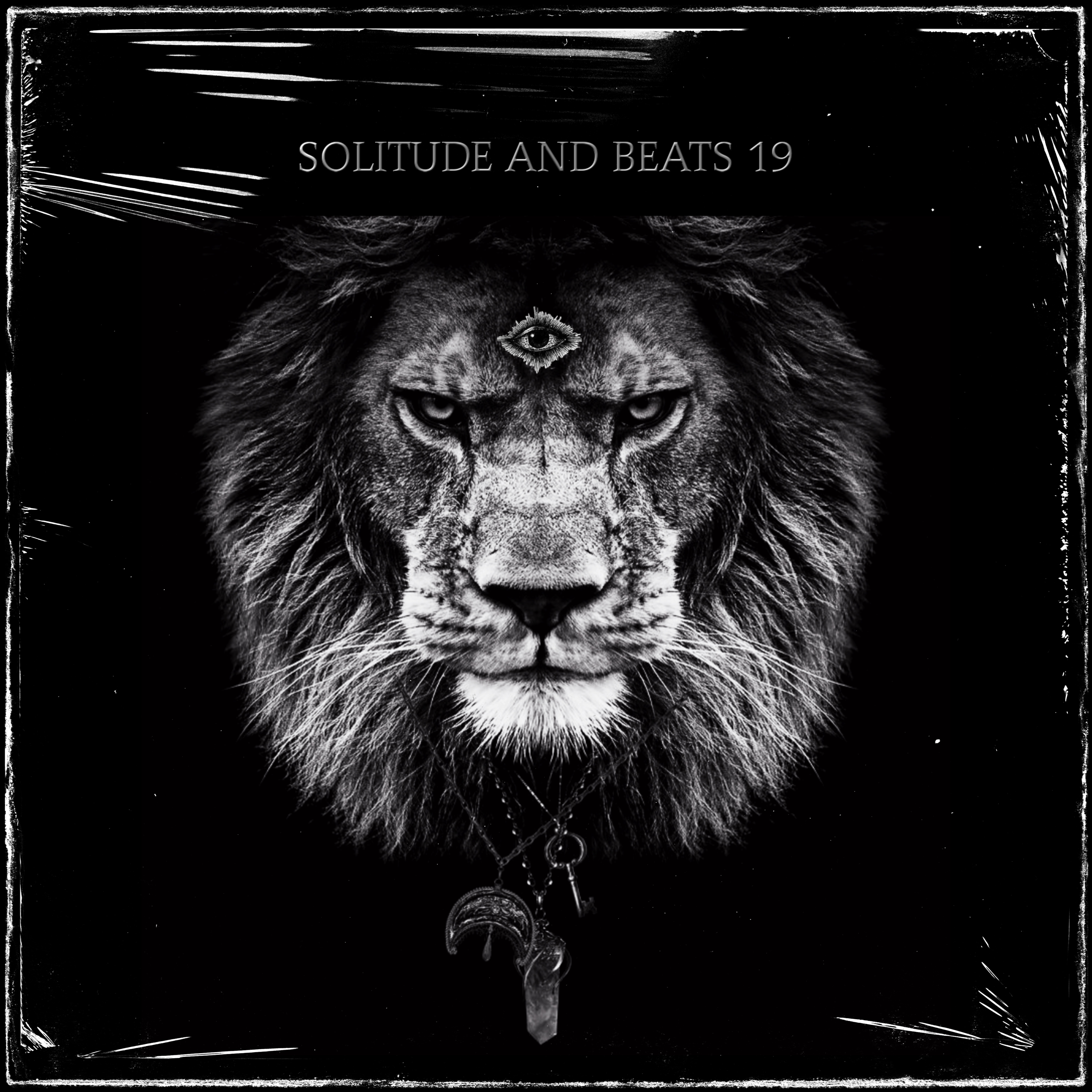 Solitude and Beats 19 artwork