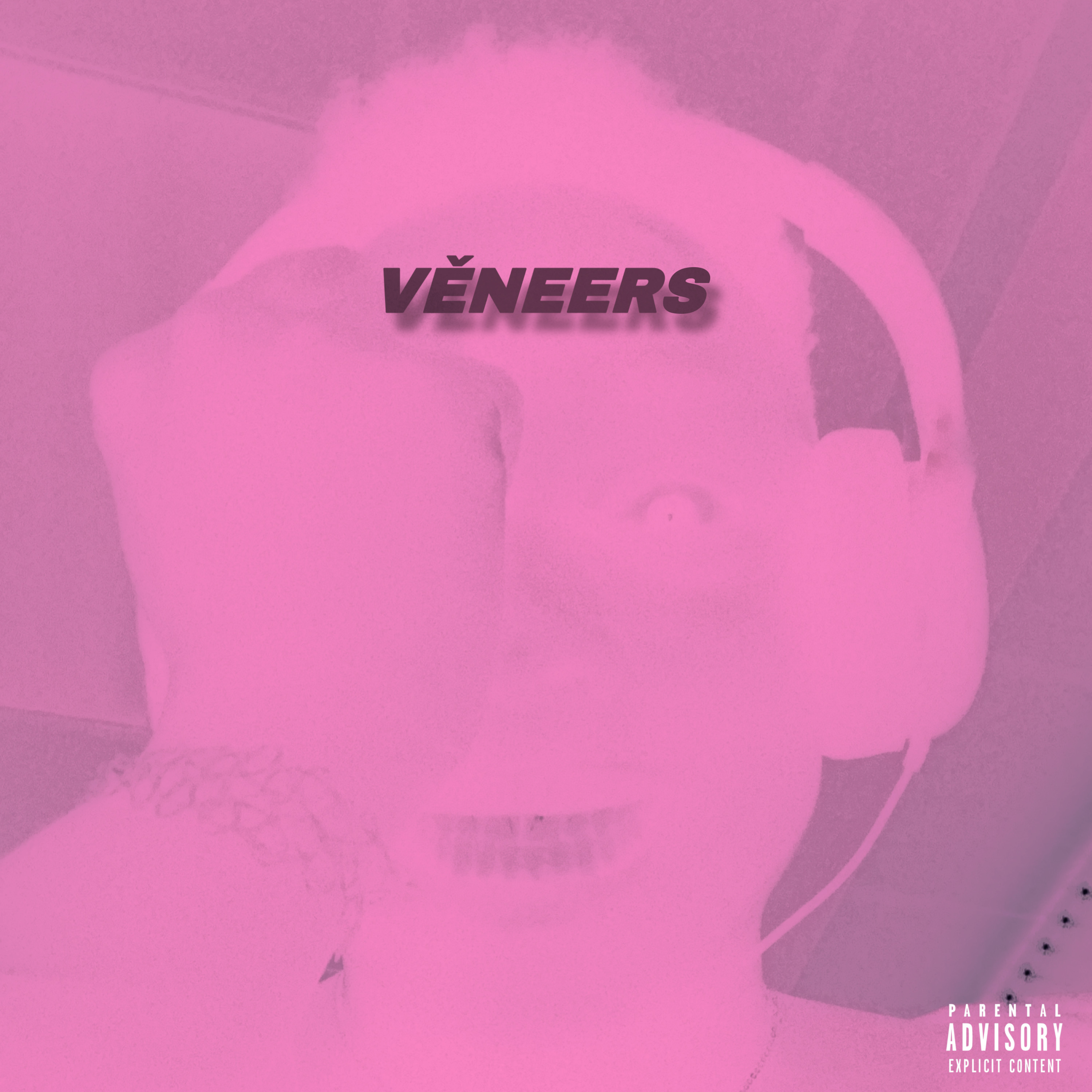 VENEERS artwork