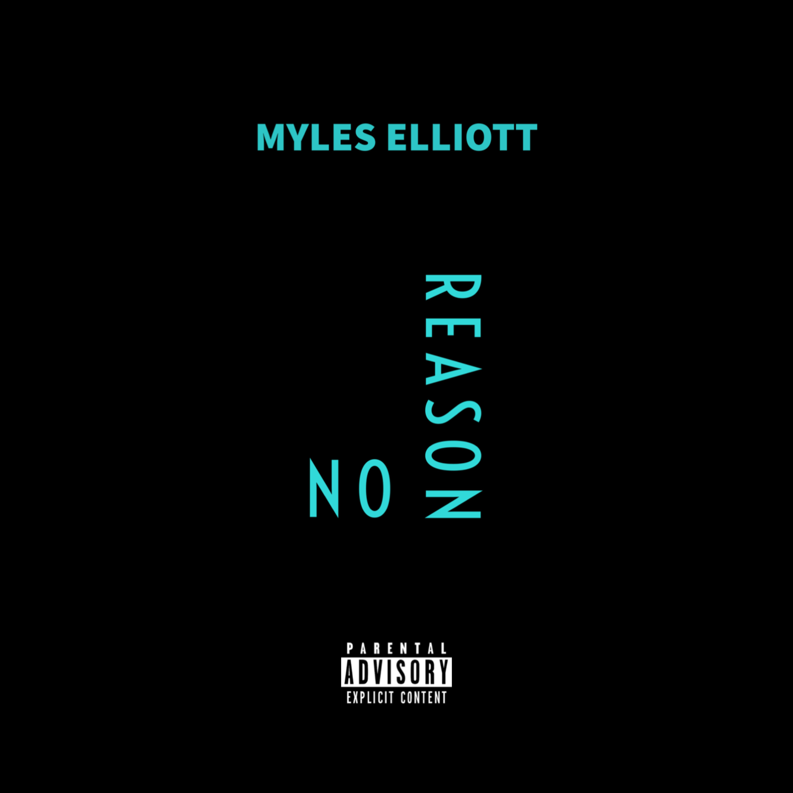 NO REASON artwork