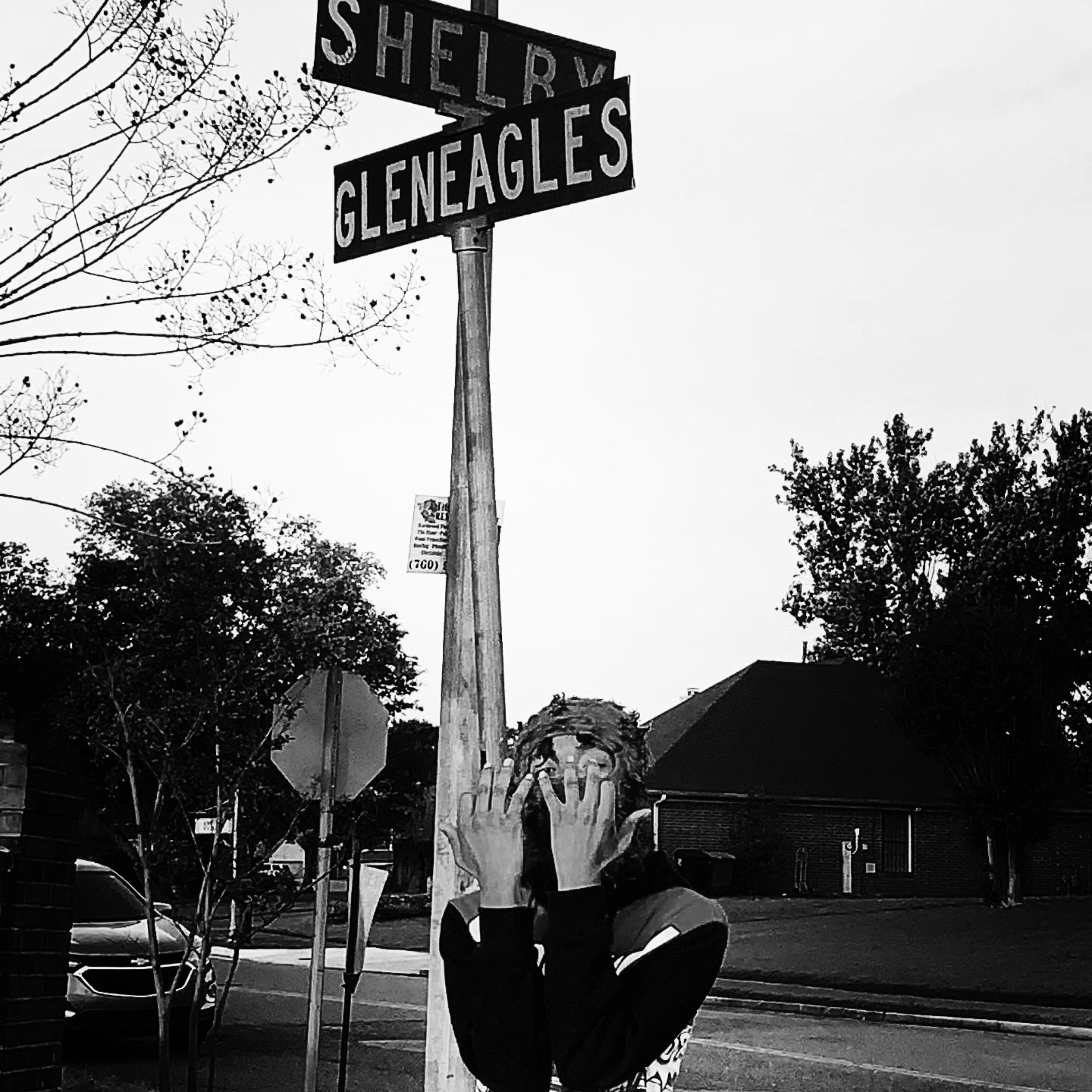 Shelby Drive artwork