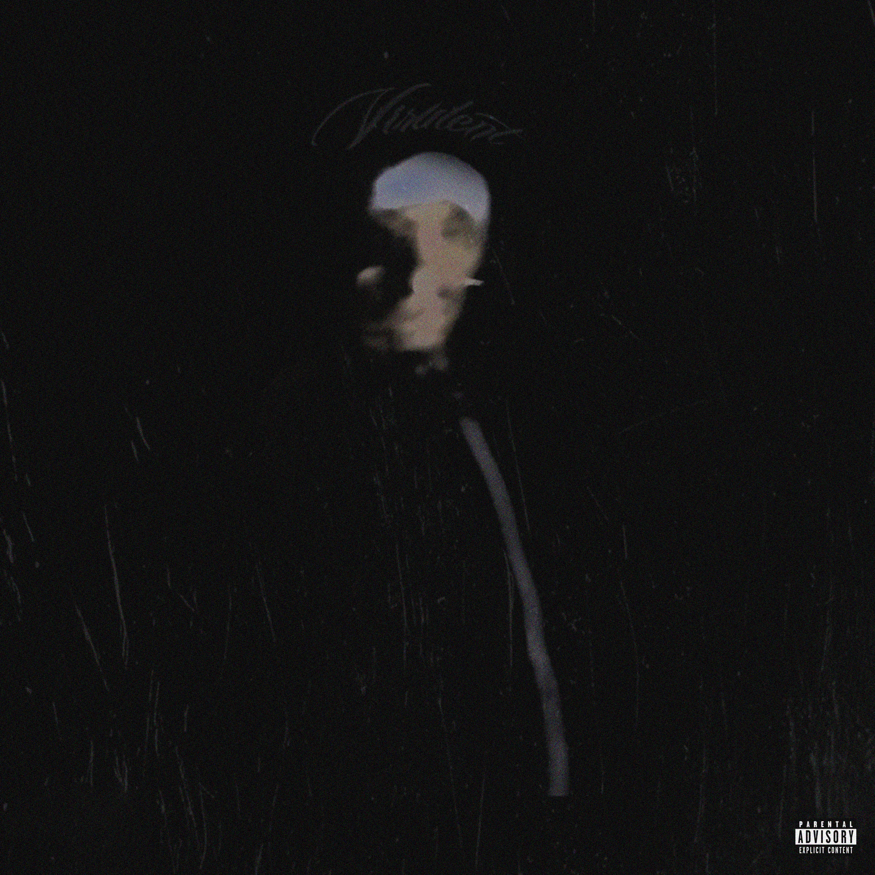 Not Hearing It artwork