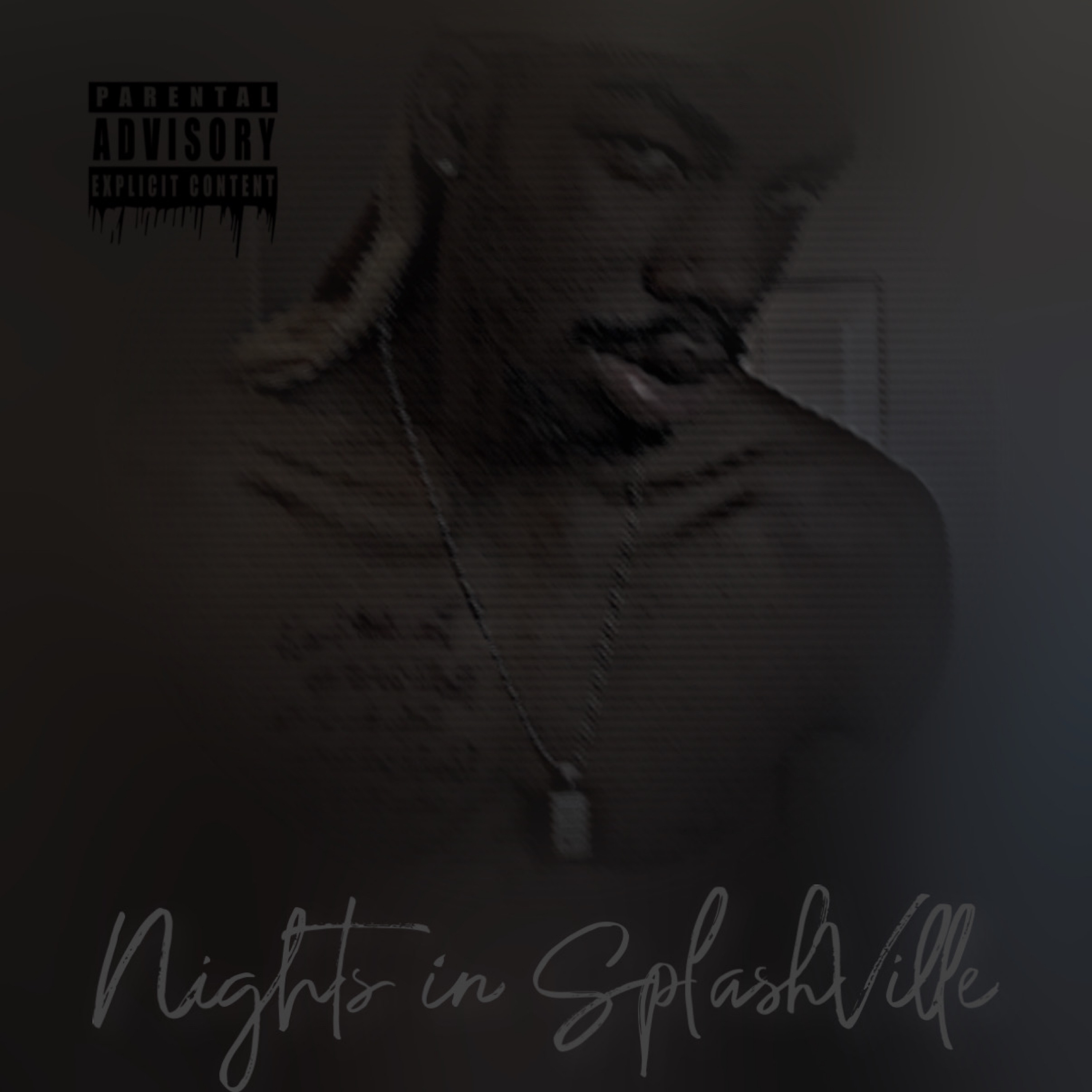 Nights In Splashville artwork
