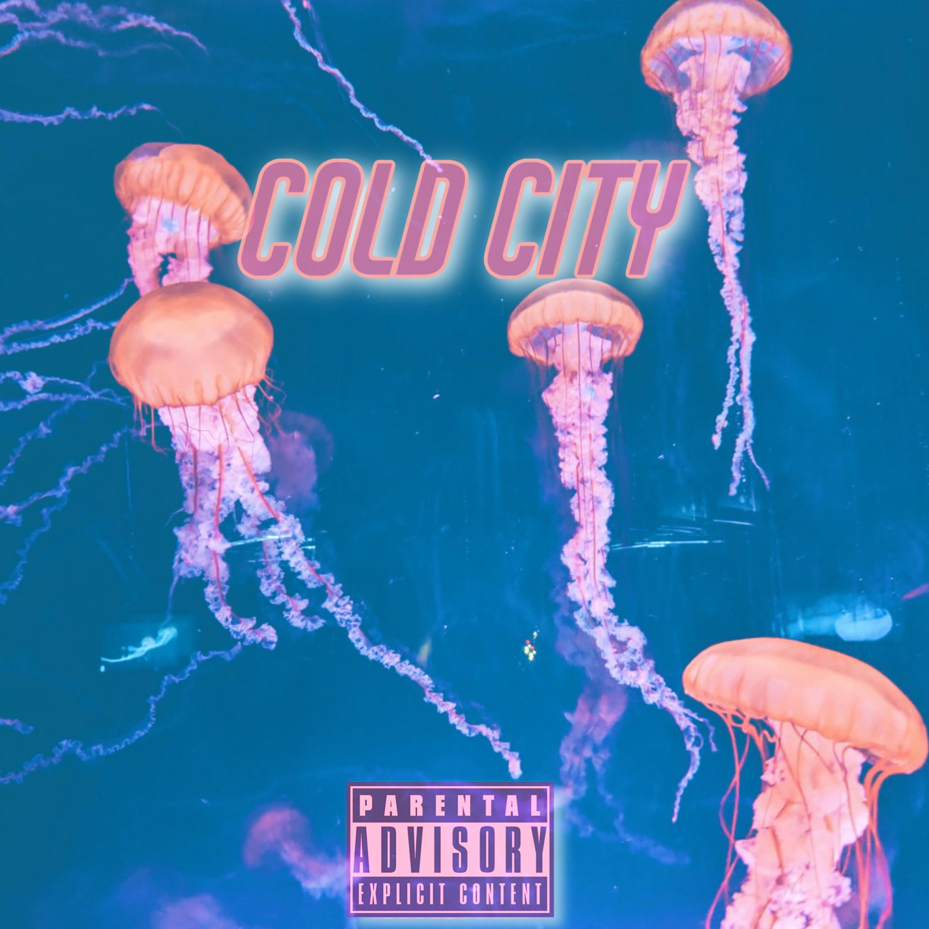 Cold City artwork