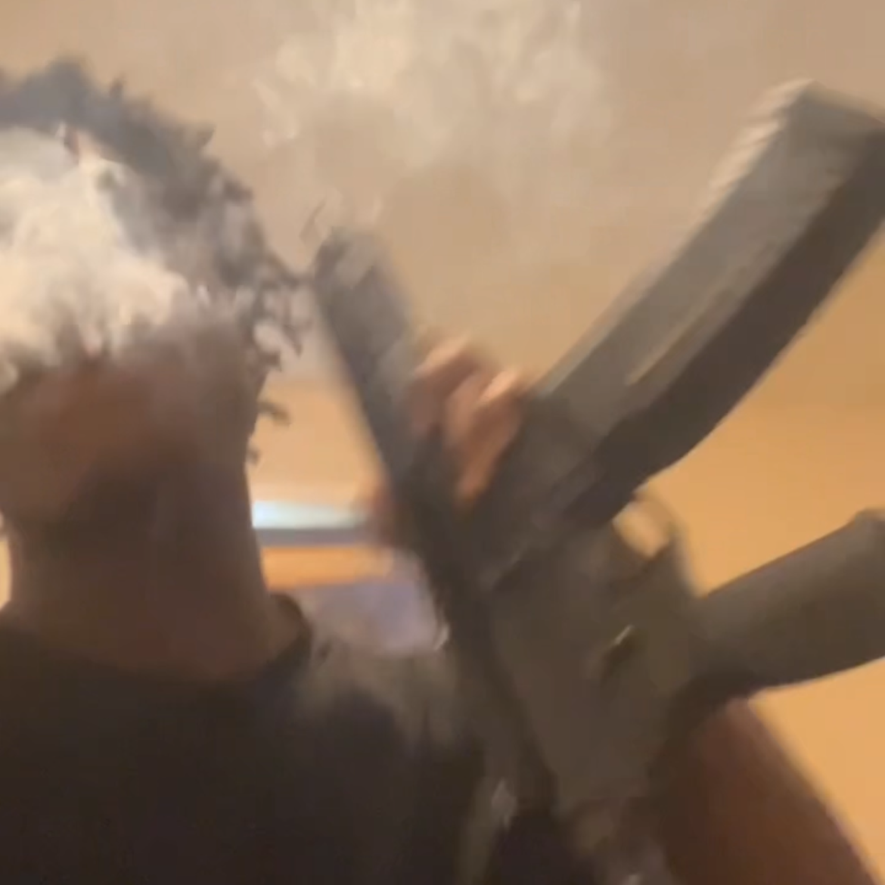 duckin n dodgin artwork