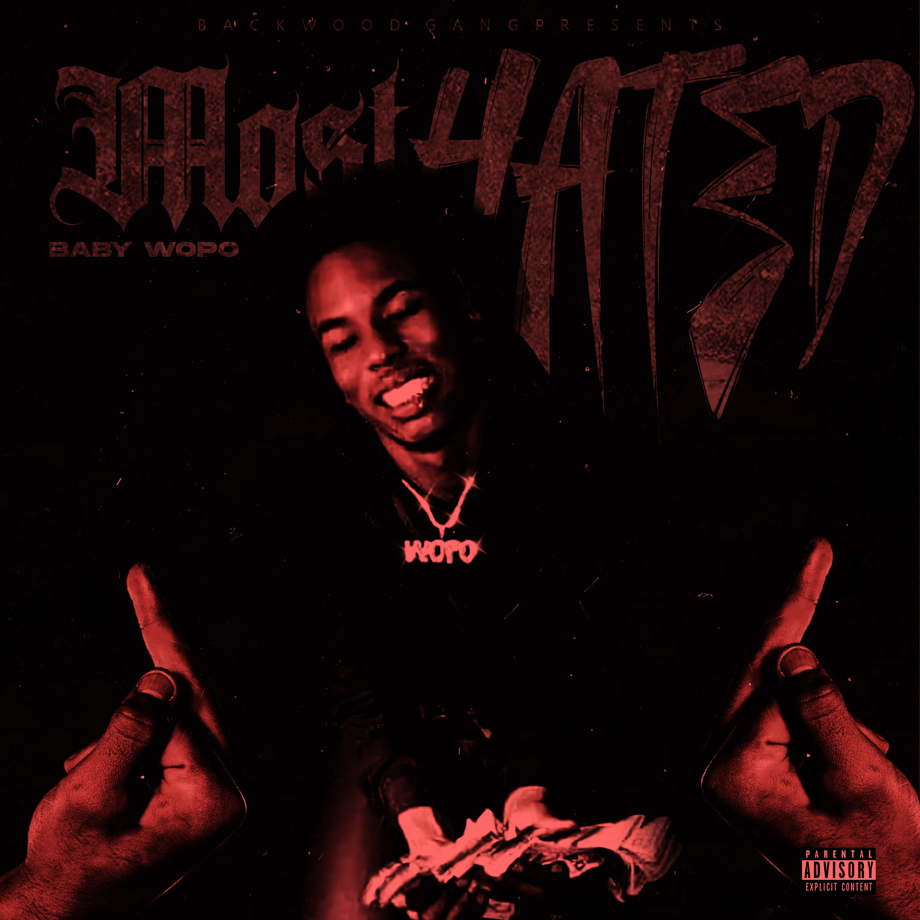 Most Hated : The End by Baby wopo cover art