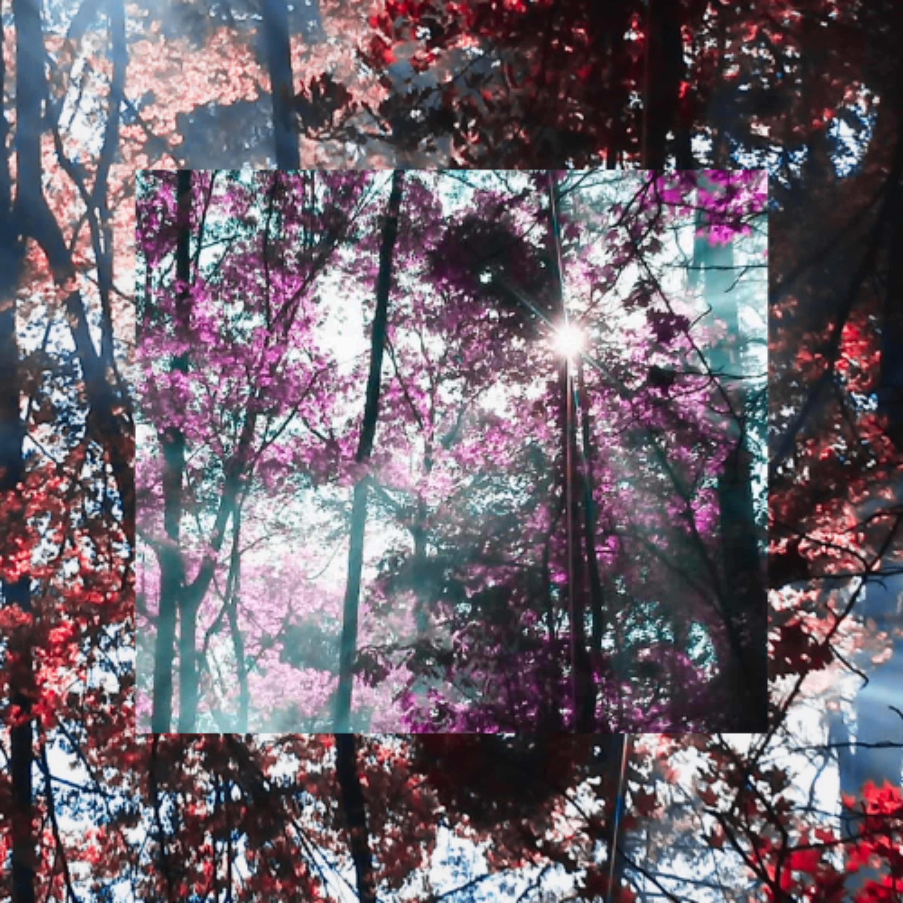 1+1 artwork