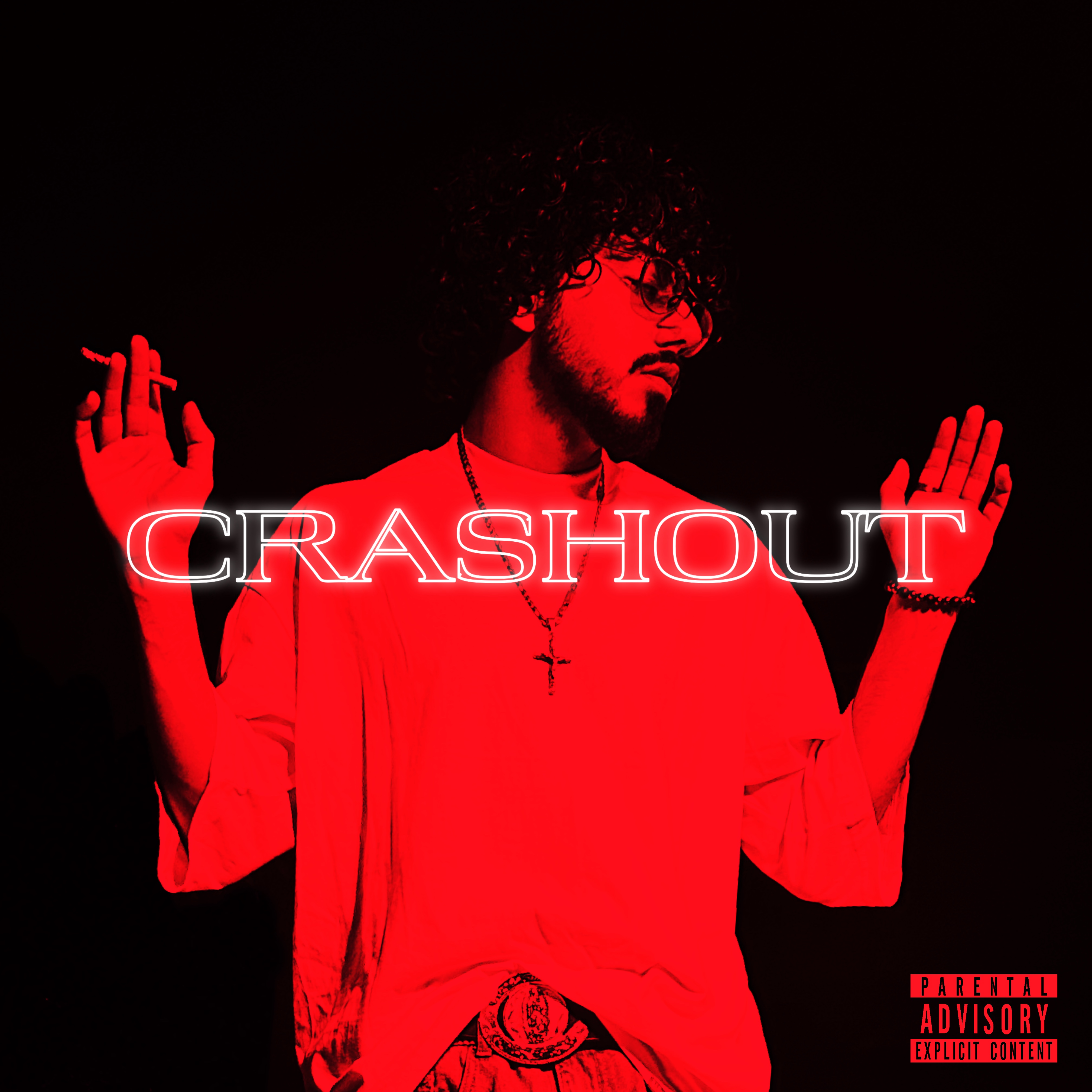CRASHOUT by RosePurpp cover art