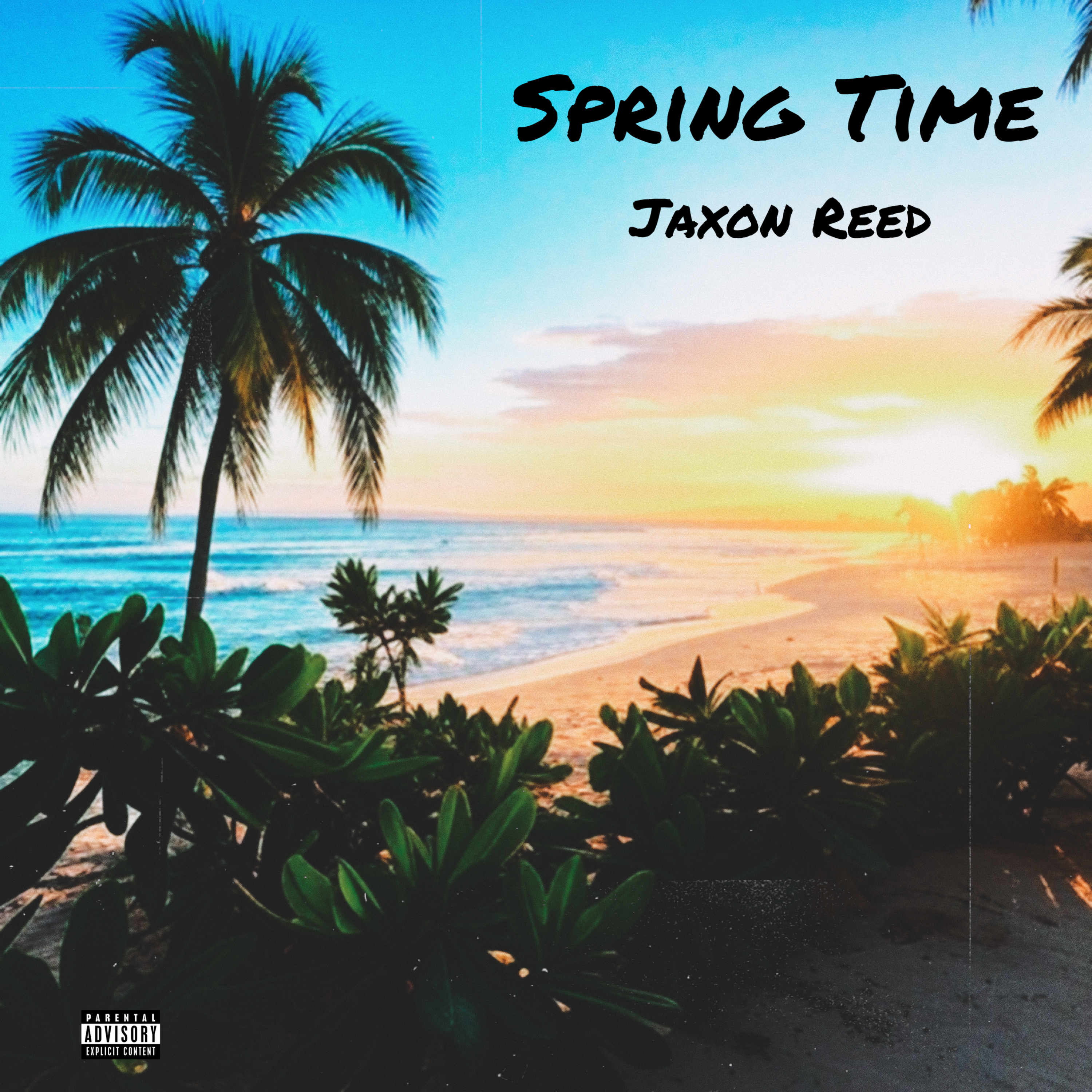 Spring Time artwork
