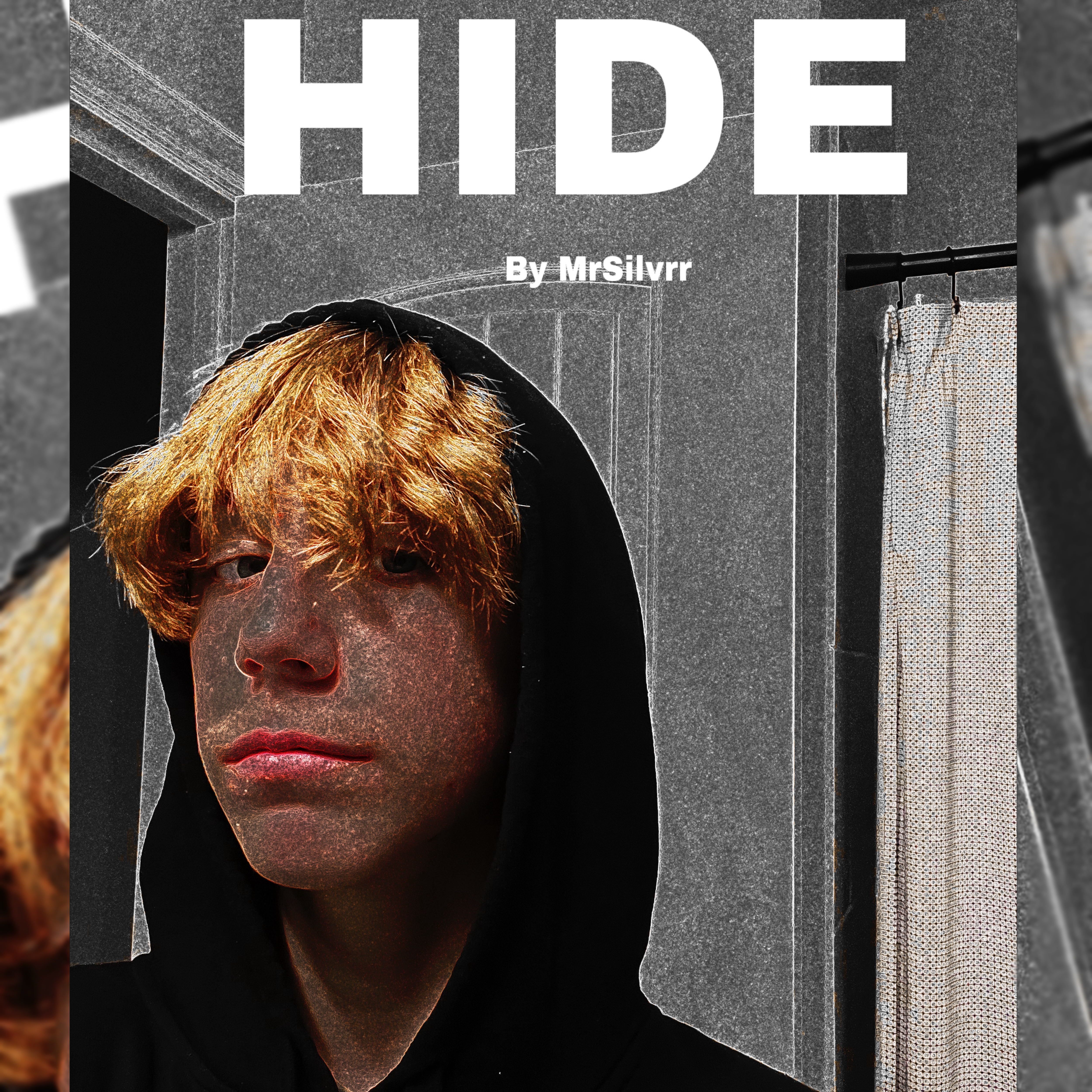 HIDE artwork