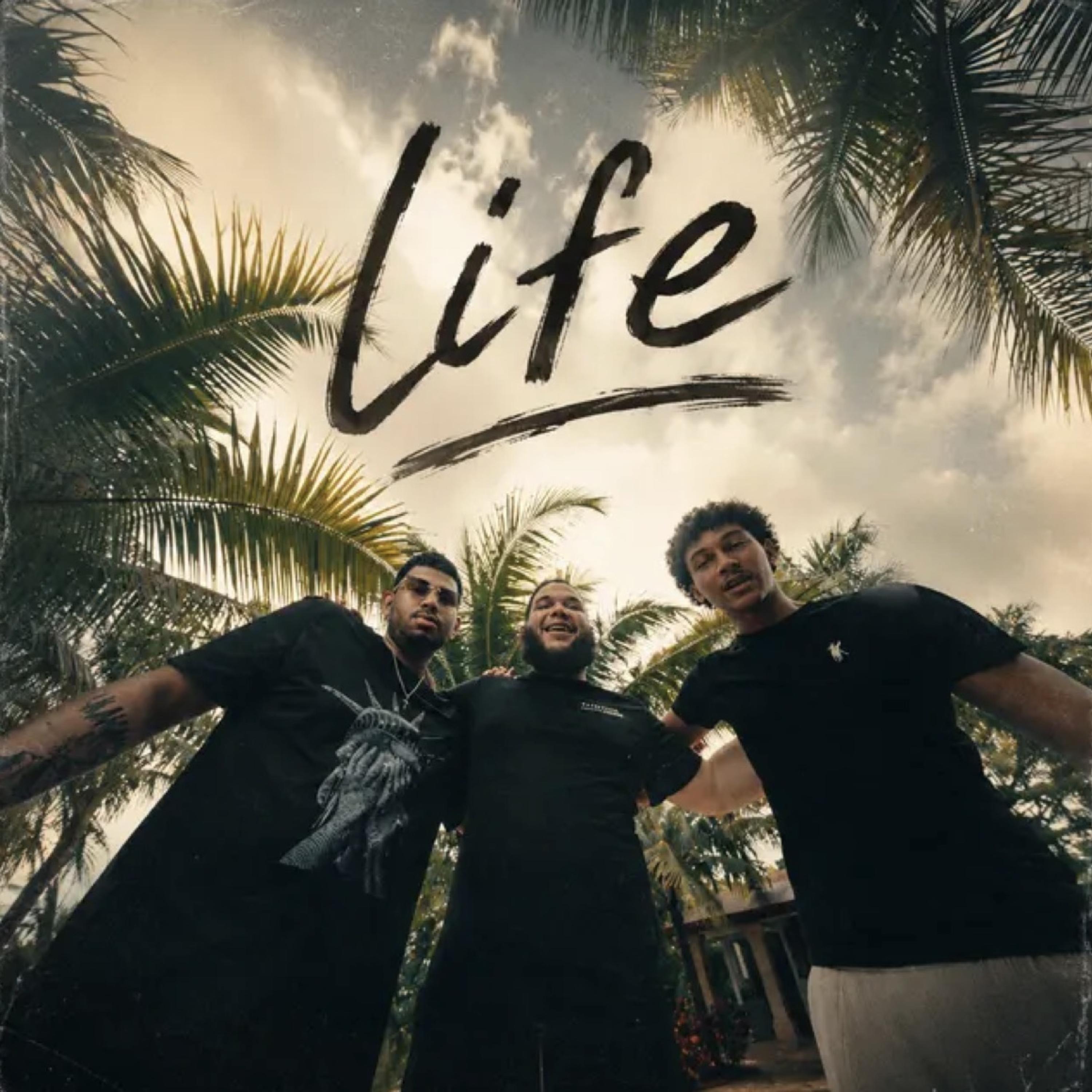 LIFE by justttkingsalo cover art