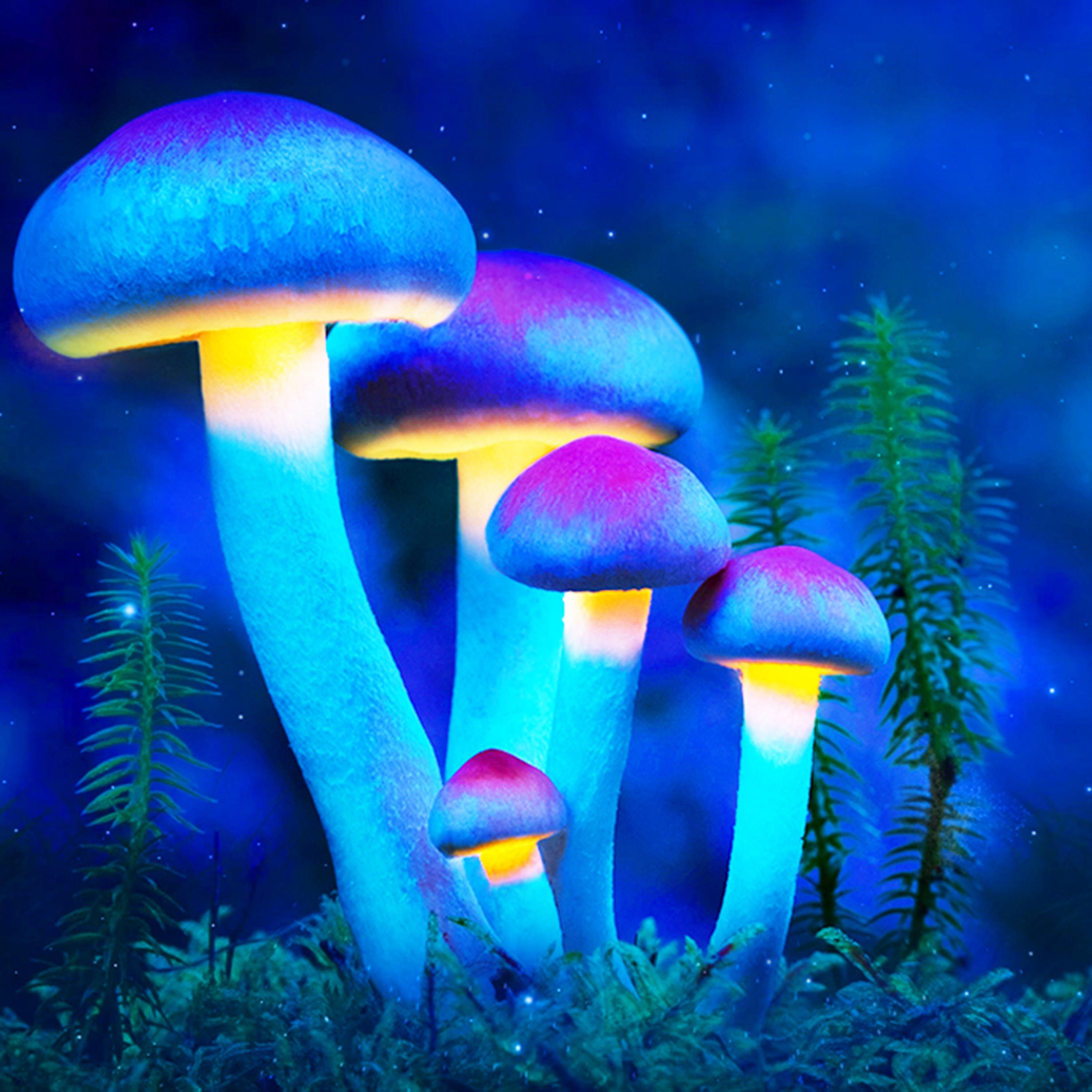 Release All Negativity & Fall Asleep artwork