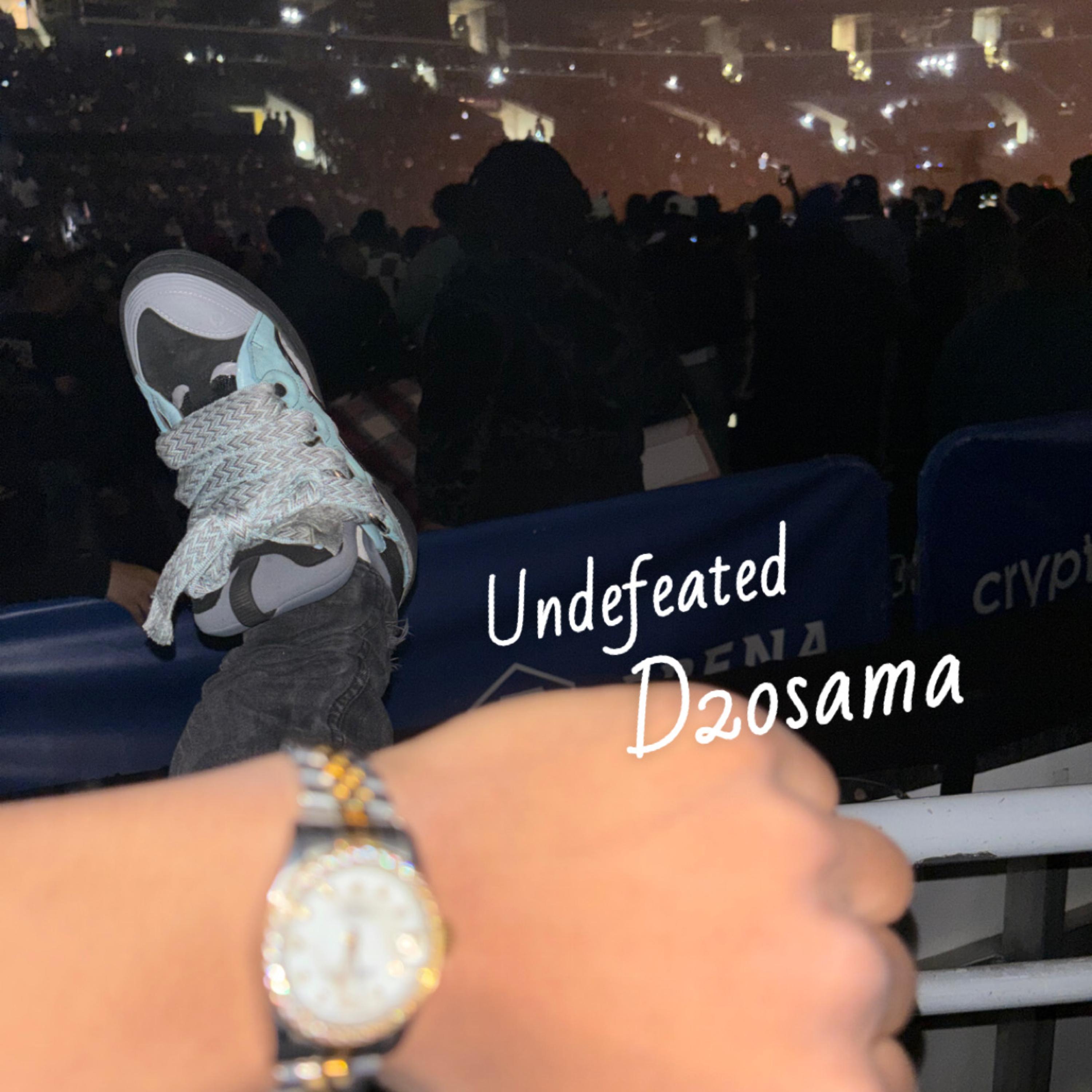 Undefeated artwork